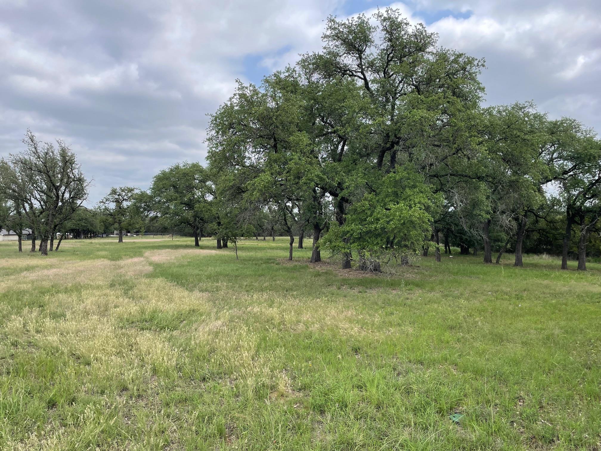 762 Morning Dew Dr, Round Mountain, TX 78663