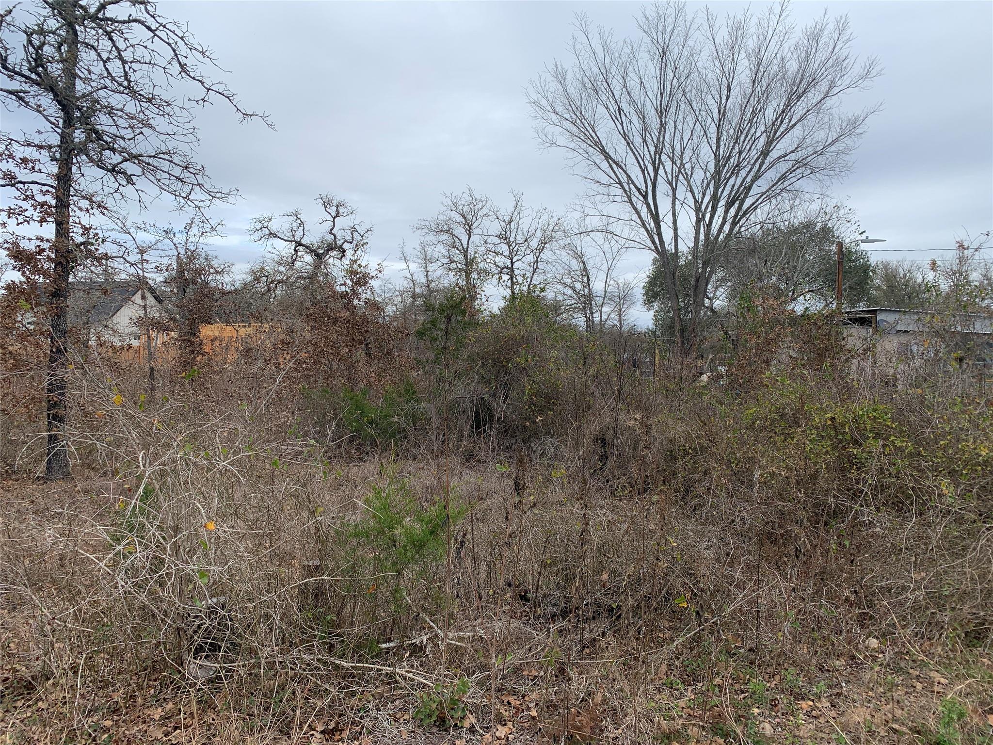 TBD Chickasaw, Smithville, TX 78957