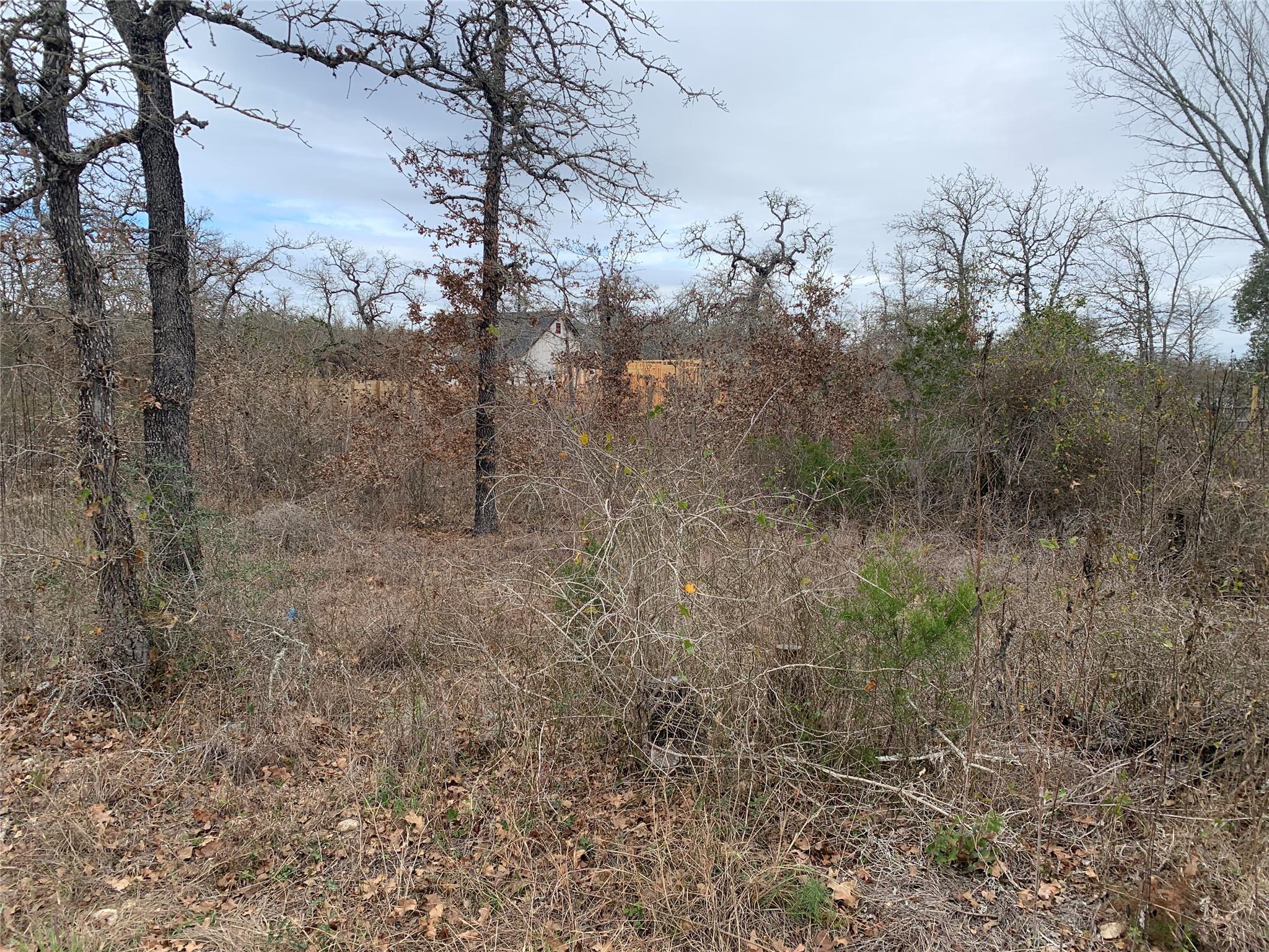 TBD Chickasaw, Smithville, TX 78957