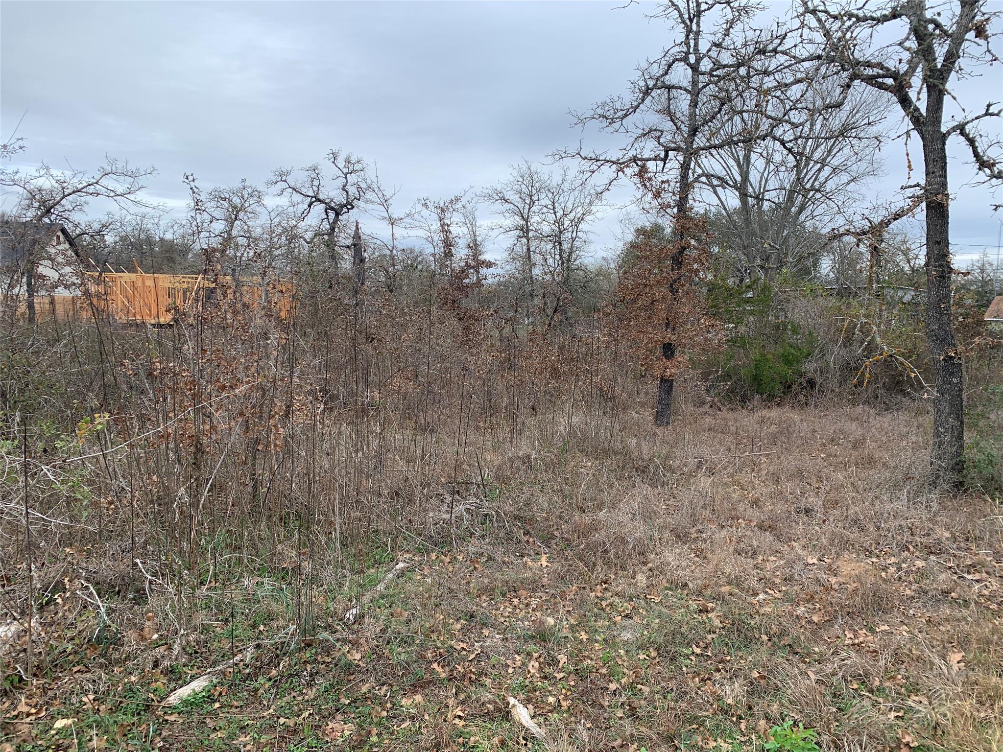 TBD Chickasaw, Smithville, TX 78957