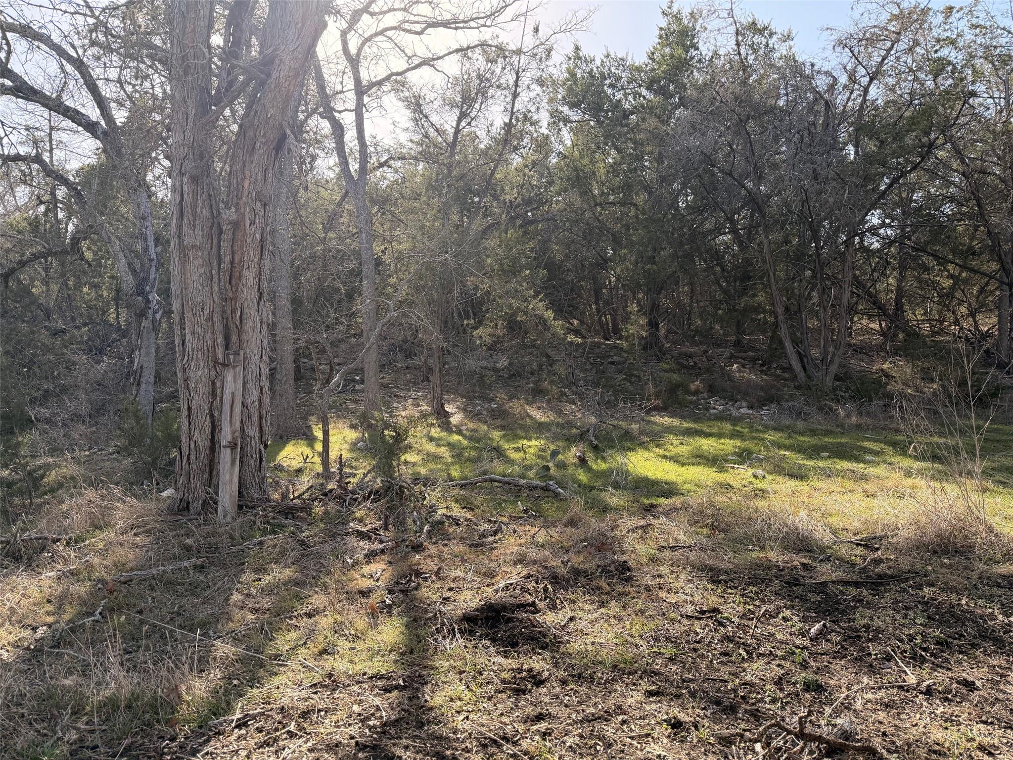 244 Buckskin Pass, Driftwood, TX 78619