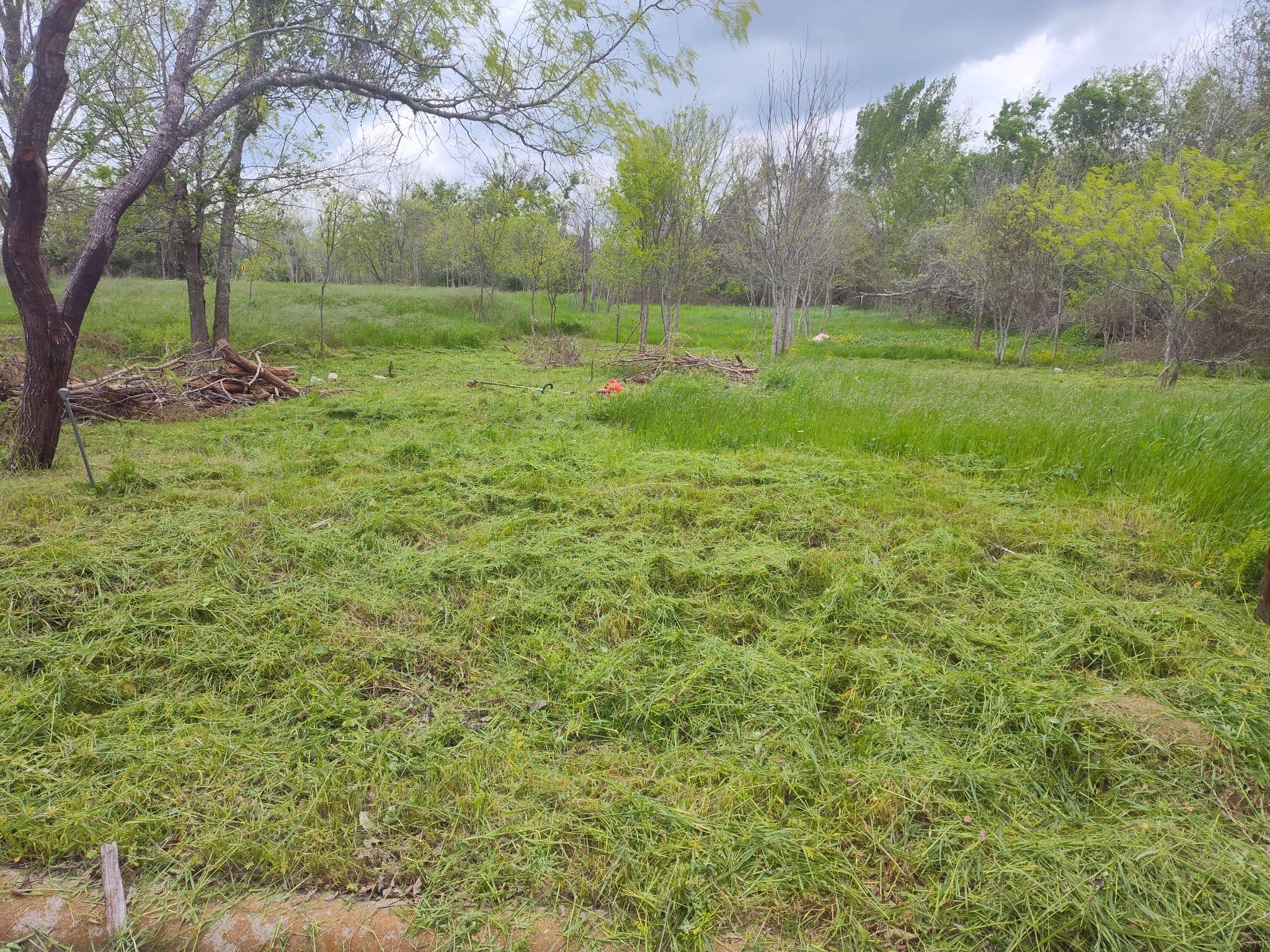 206 W Roberts Ave, Rockdale, TX 76567