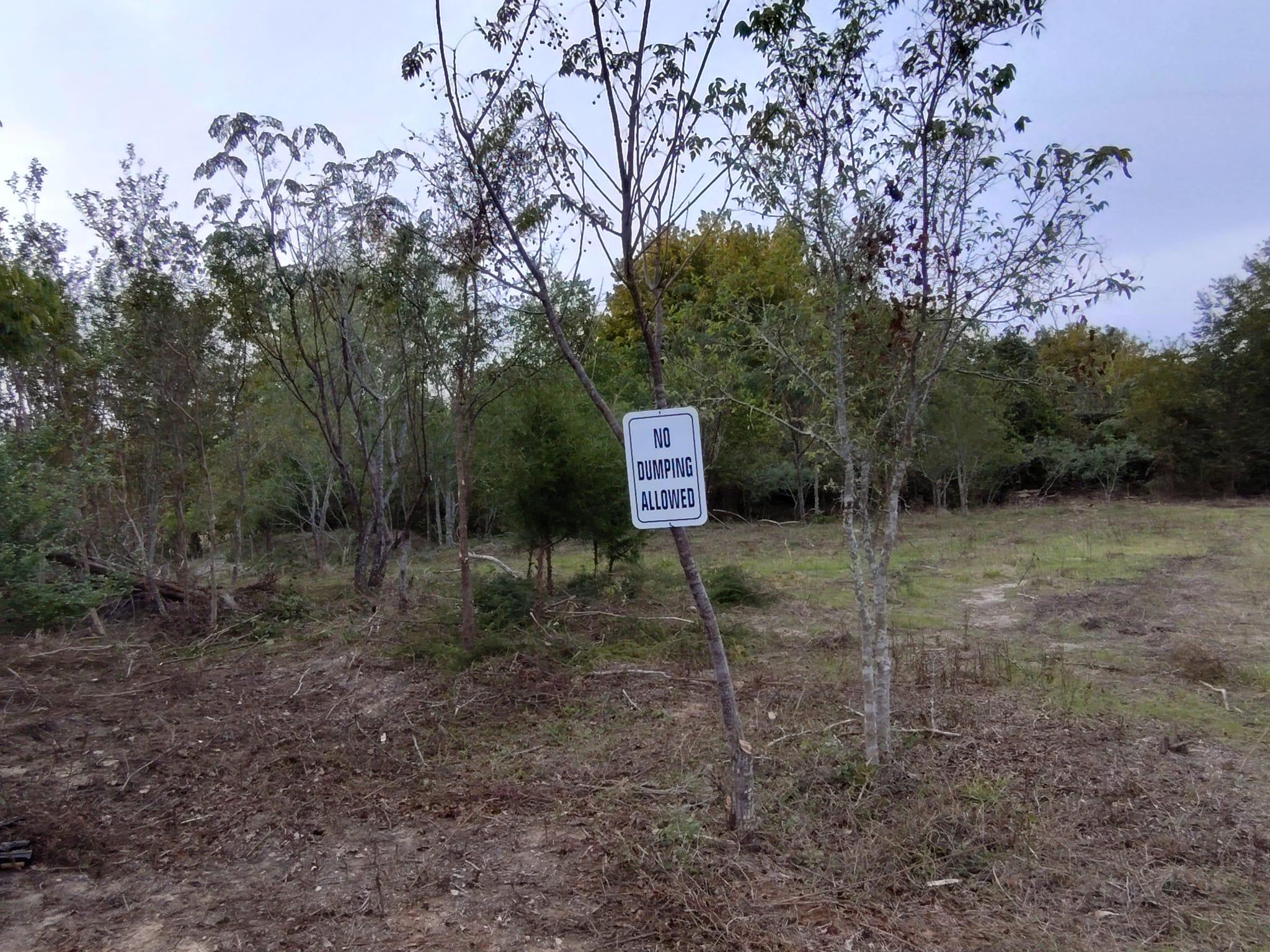 206 W Roberts Ave, Rockdale, TX 76567