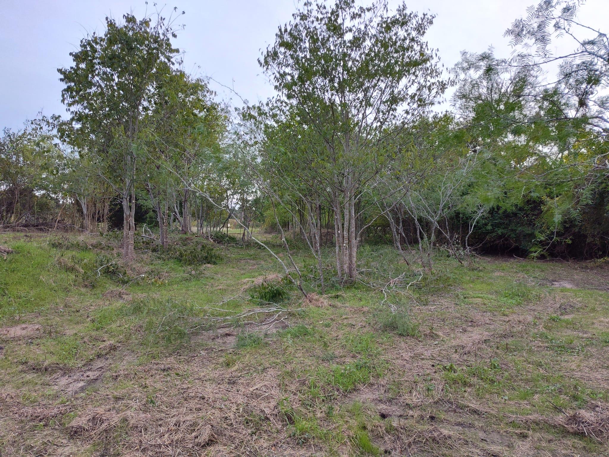 206 W Roberts Ave, Rockdale, TX 76567