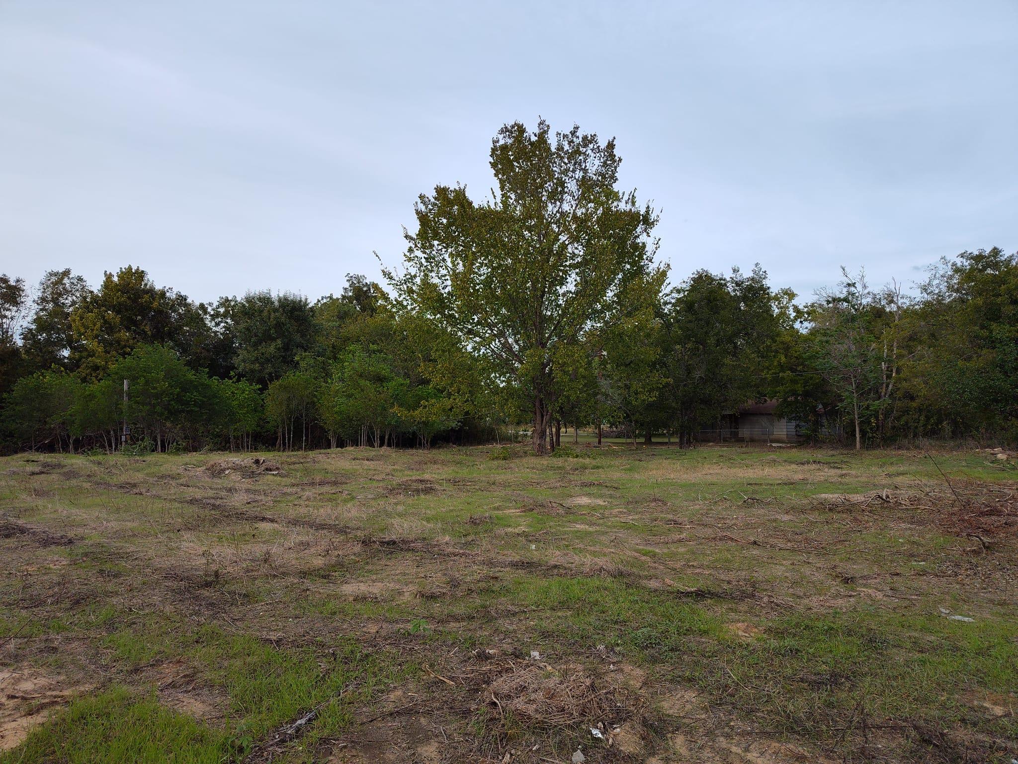 206 W Roberts Ave, Rockdale, TX 76567