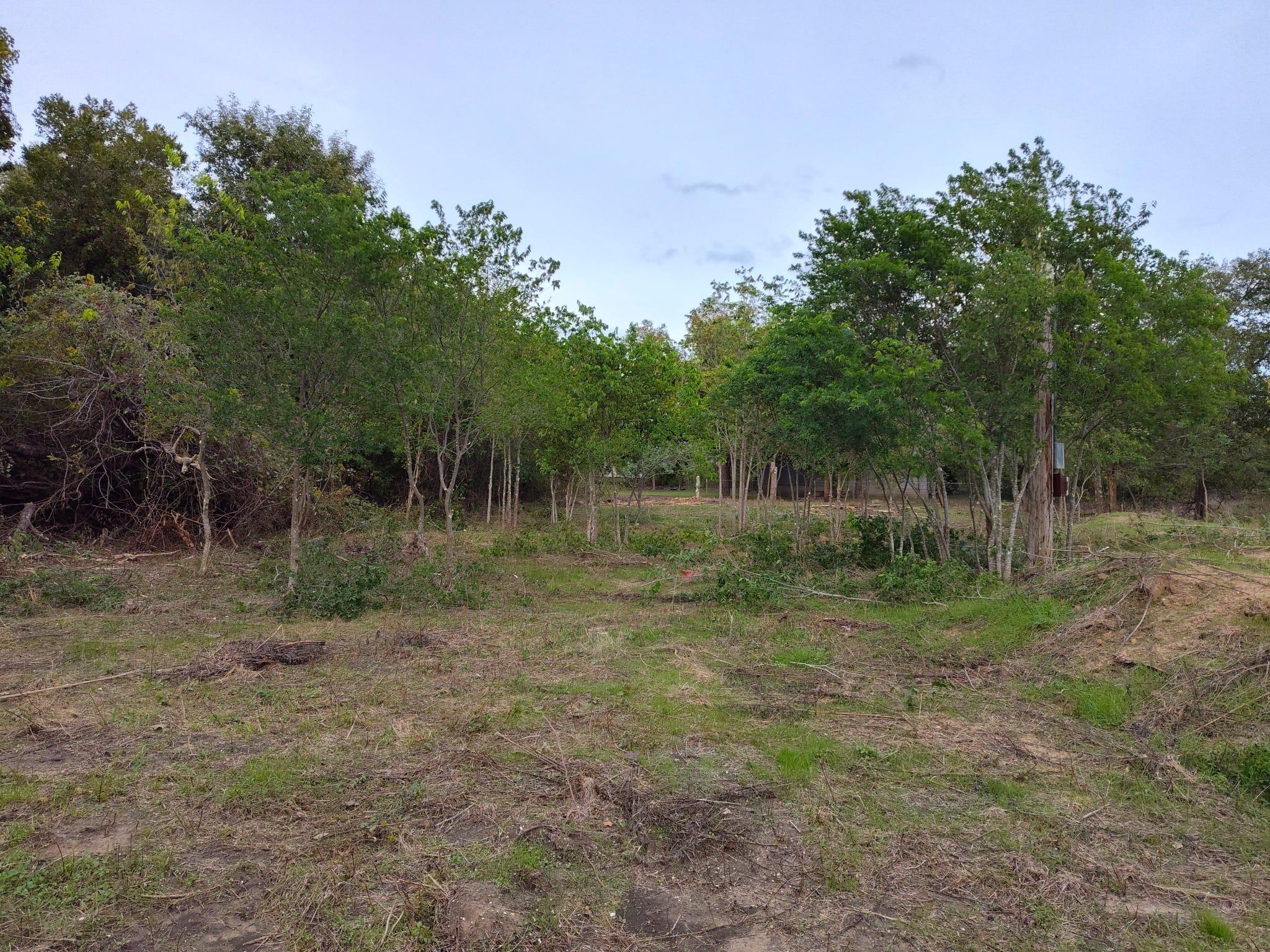 206 W Roberts Ave, Rockdale, TX 76567