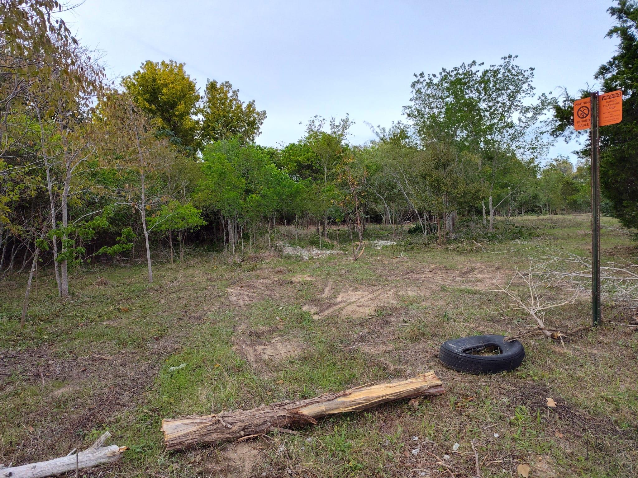 206 W Roberts Ave, Rockdale, TX 76567