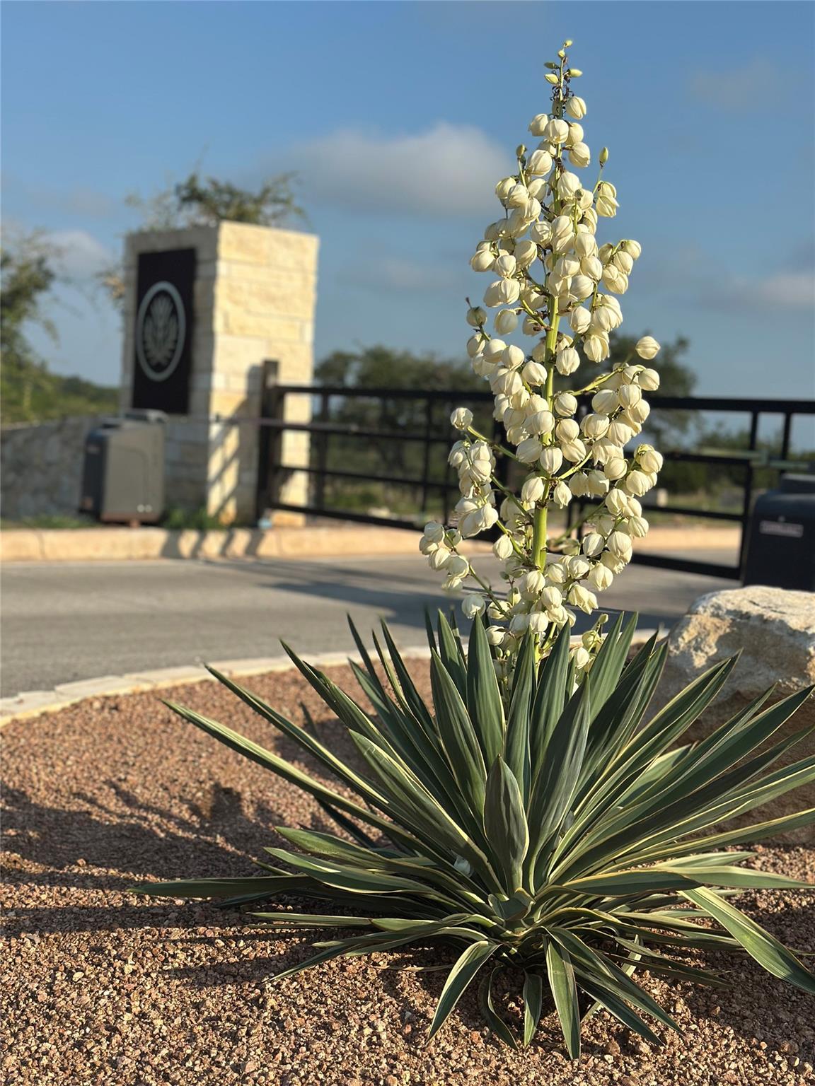 682 Evergreen Cir, Round Mountain, TX 78663