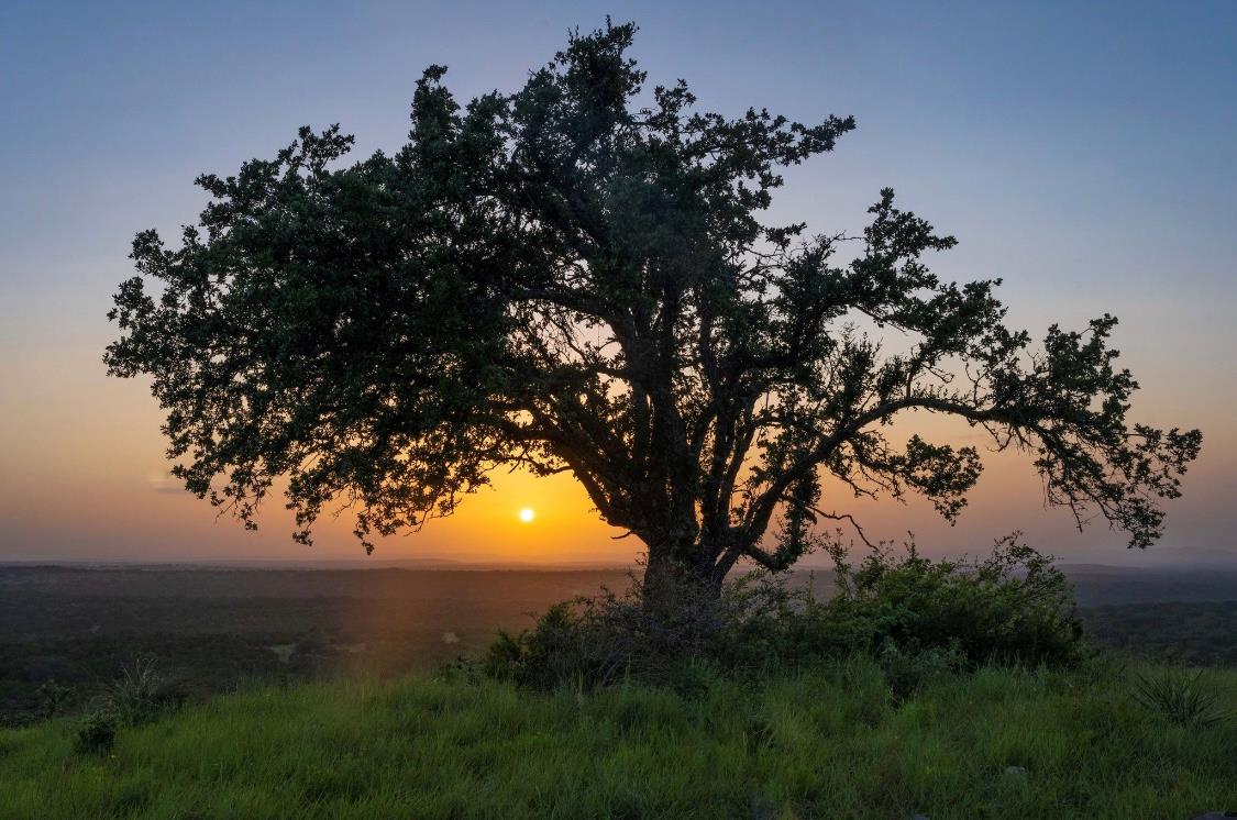 682 Evergreen Cir, Round Mountain, TX 78663