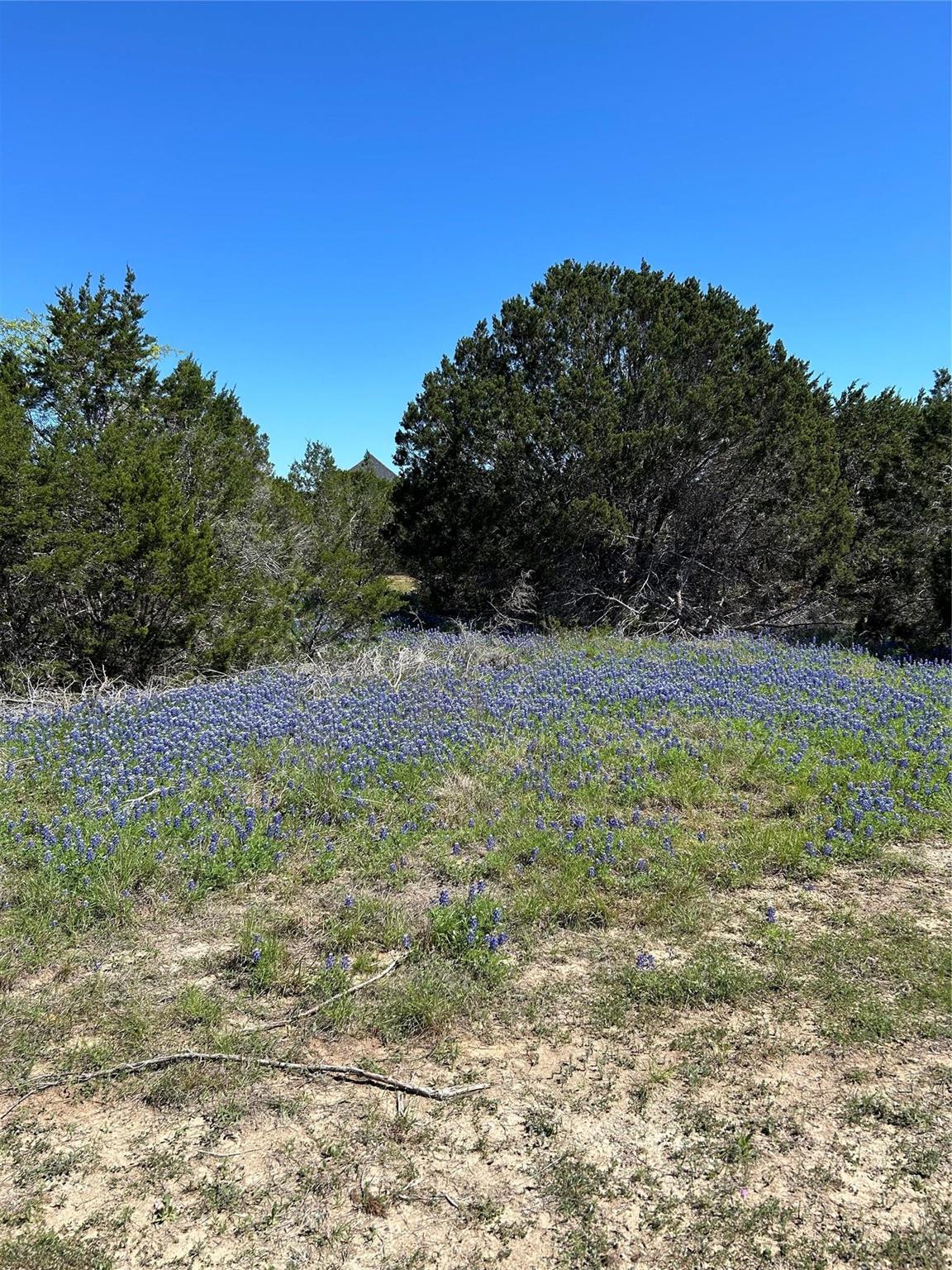 23 Heathrow Ln, Wimberley, TX 78676