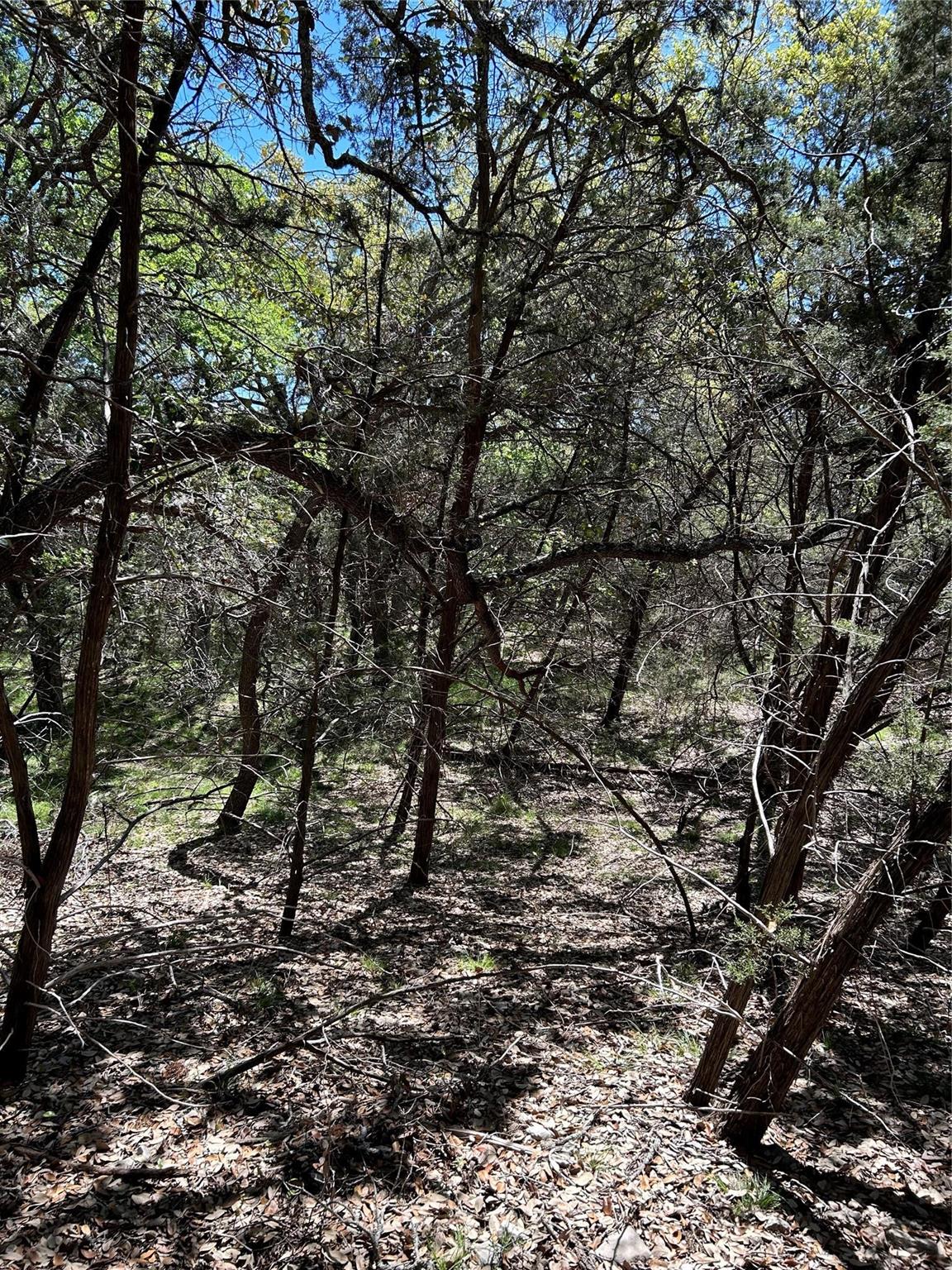 23 Heathrow Ln, Wimberley, TX 78676