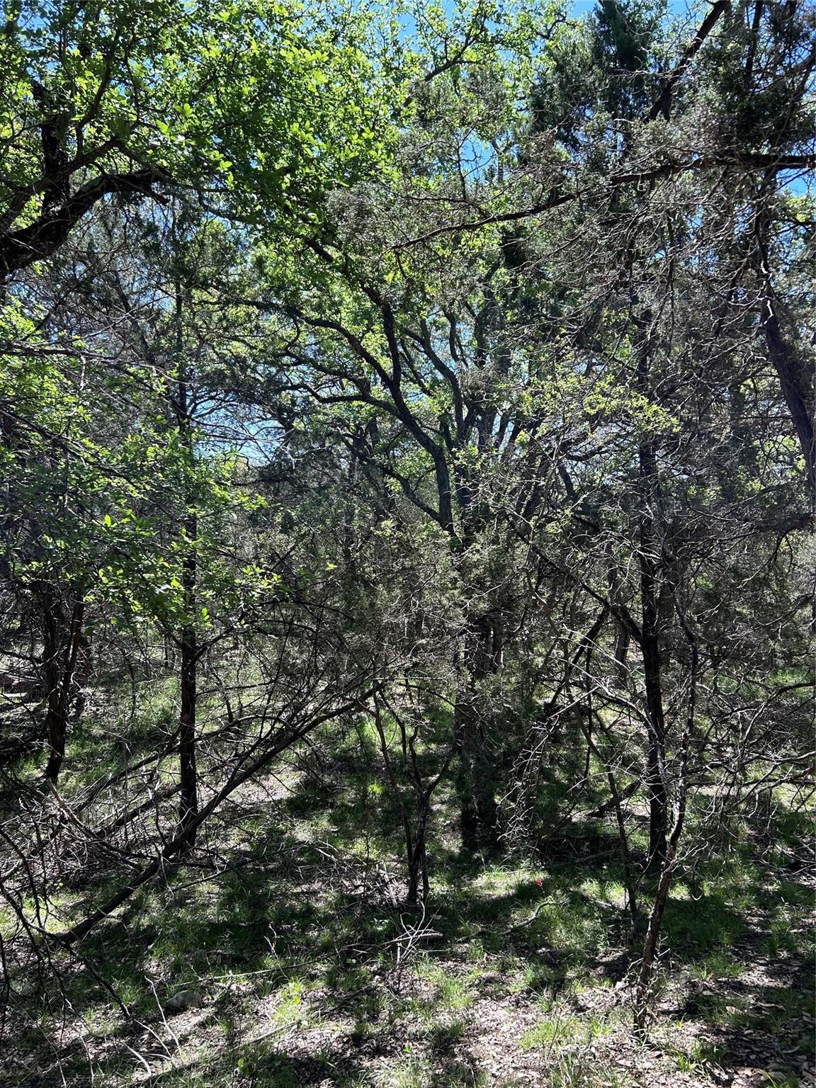 23 Heathrow Ln, Wimberley, TX 78676