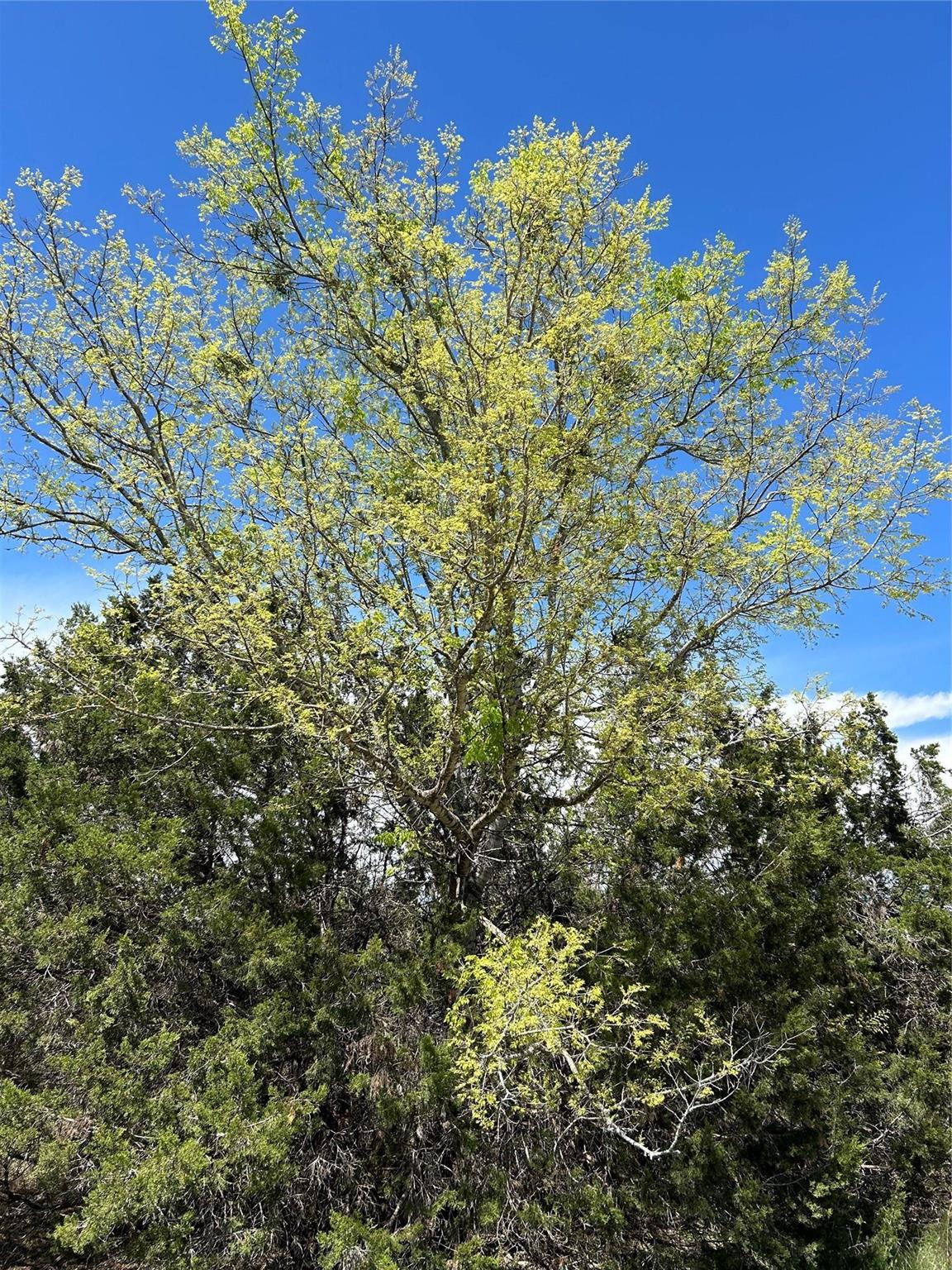 23 Heathrow Ln, Wimberley, TX 78676