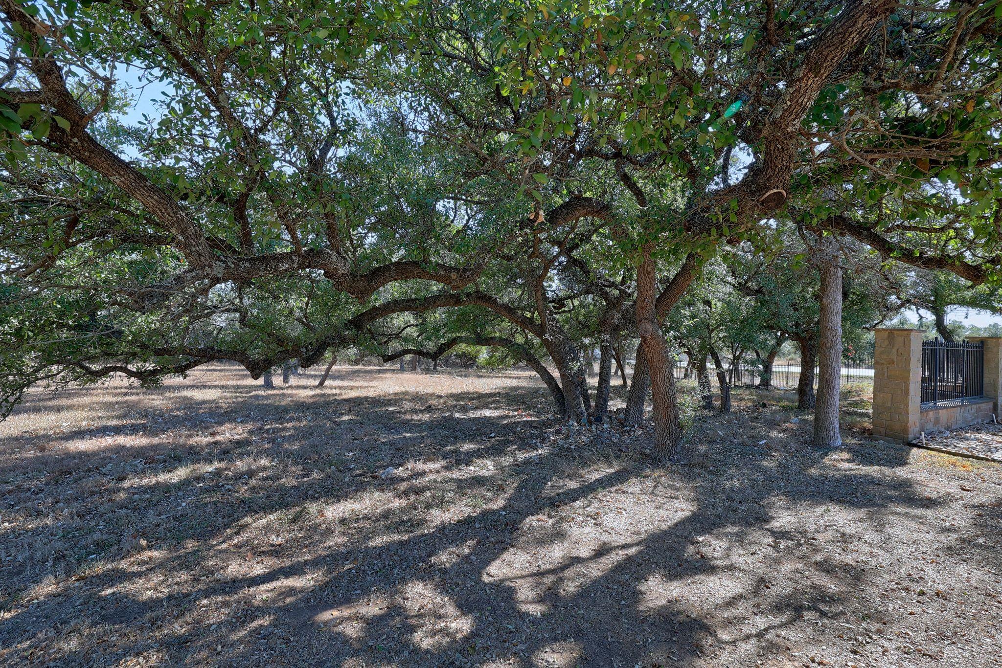 10913 Vista Heights Dr, Georgetown, TX 78628