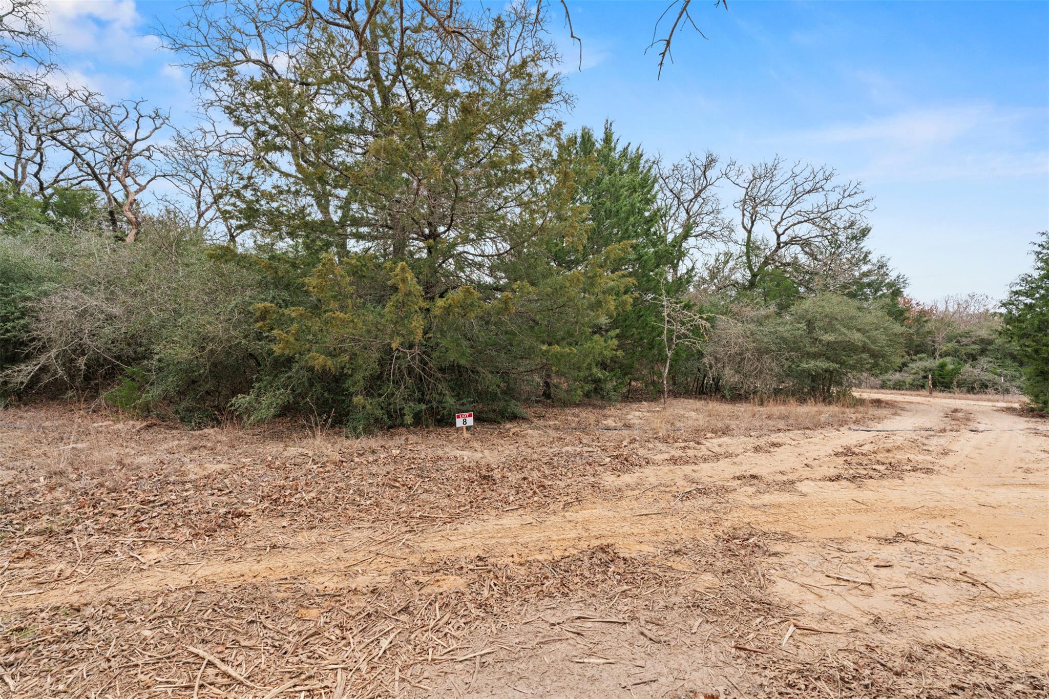 TBD County Road 326 Lot 8, Rockdale, TX 76567