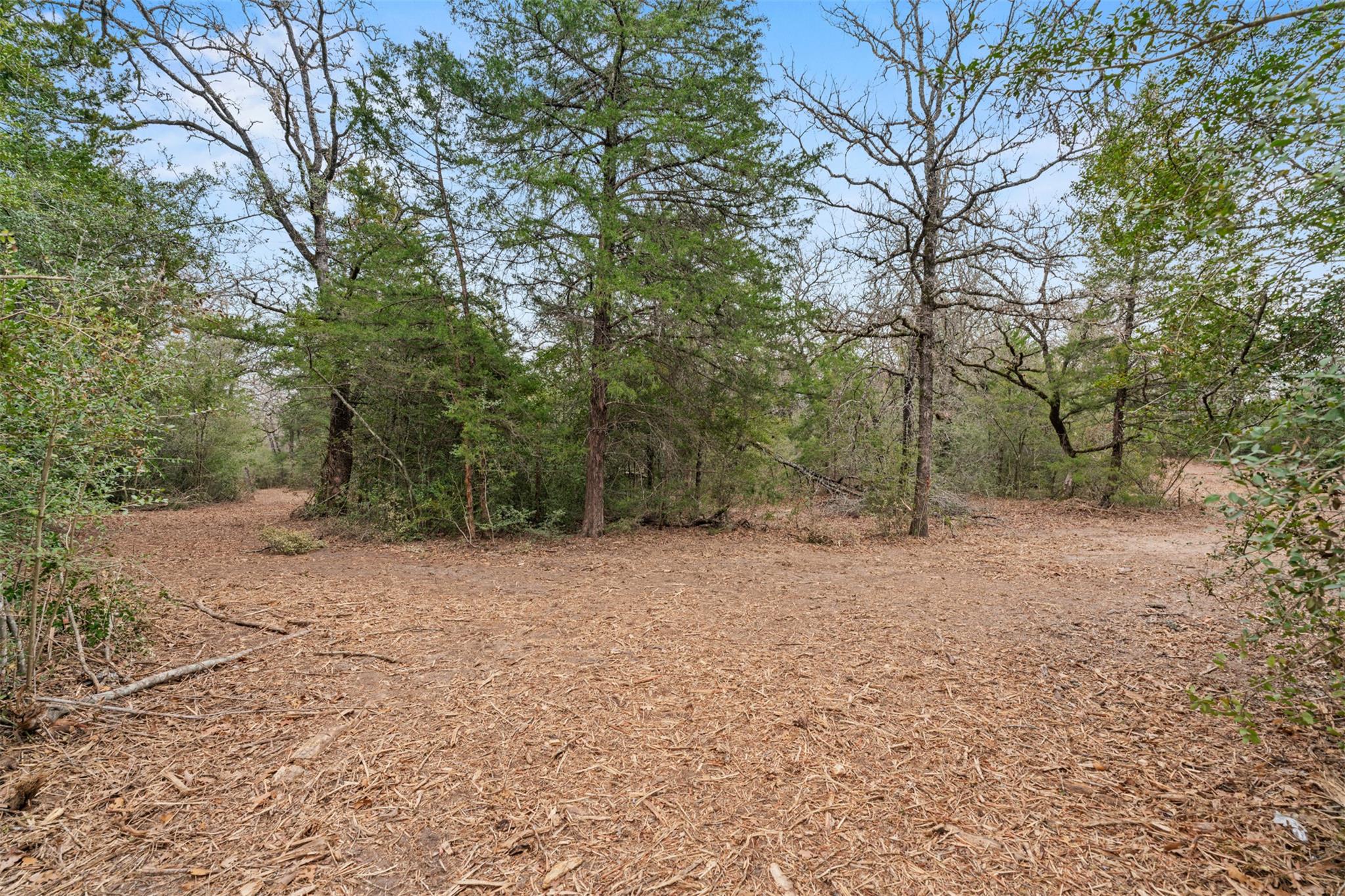 TBD County Road 326 Lot 8, Rockdale, TX 76567