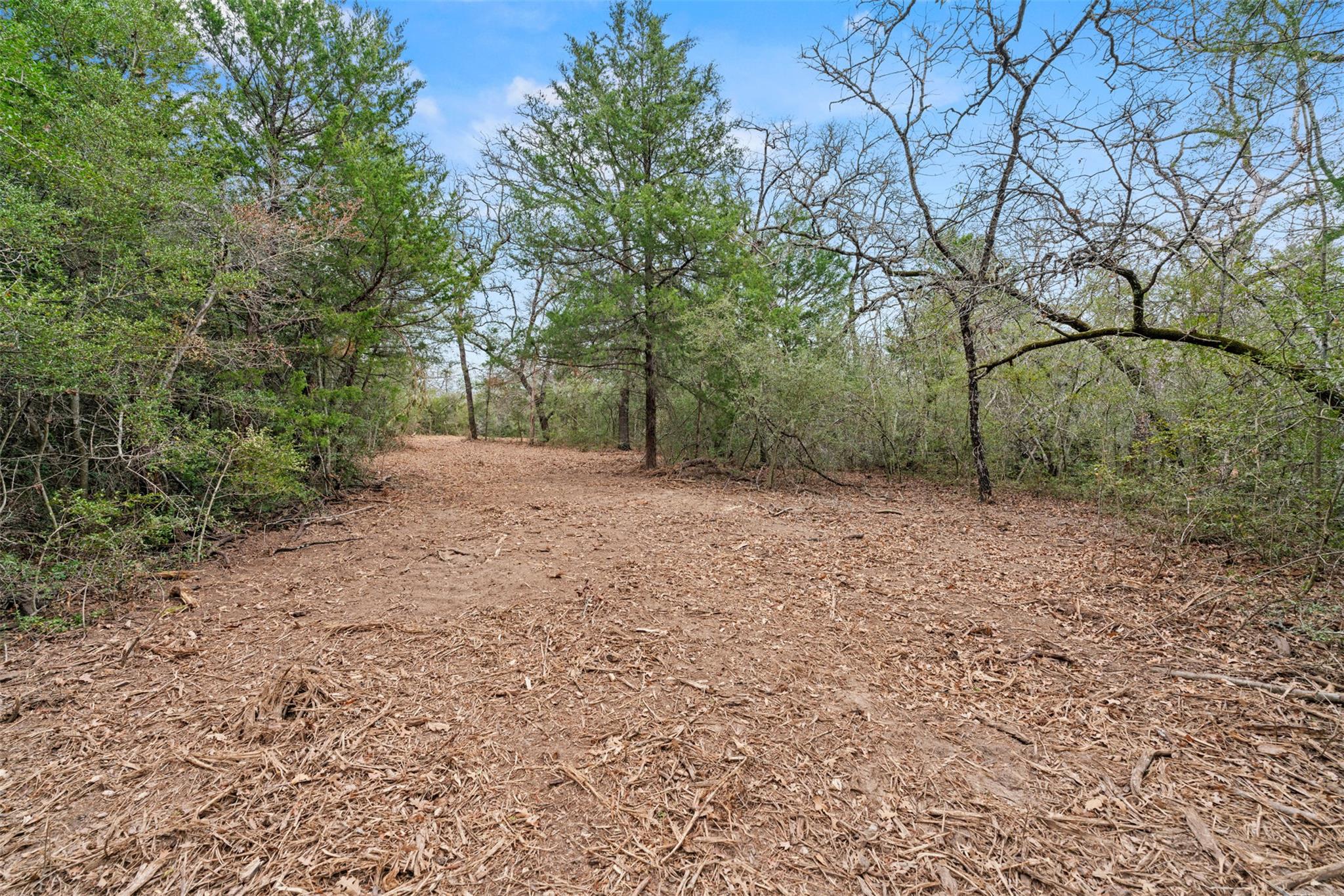 TBD County Road 326 Lot 8, Rockdale, TX 76567