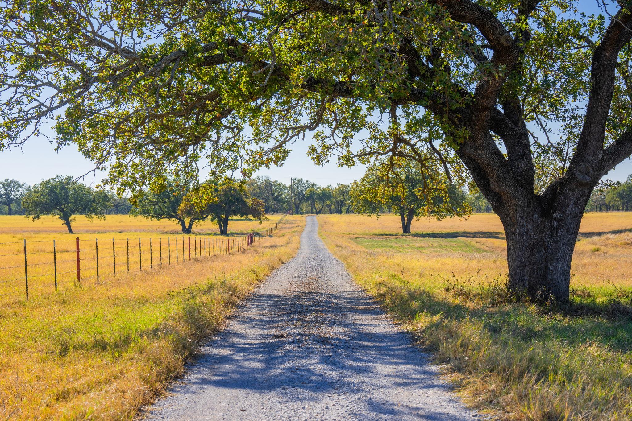 770 Sand Ln, Gordon, TX 76472