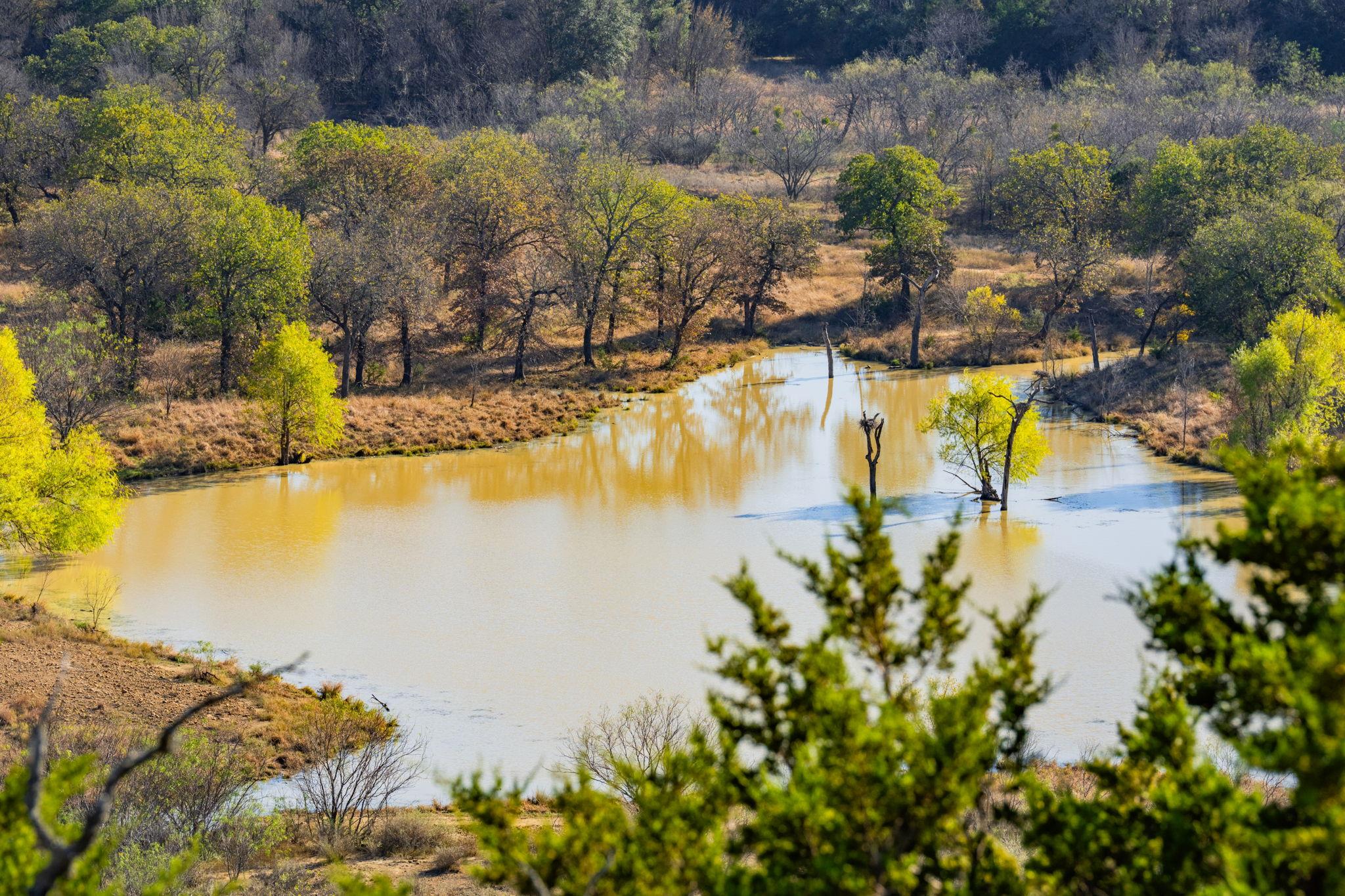 770 Sand Ln, Gordon, TX 76472