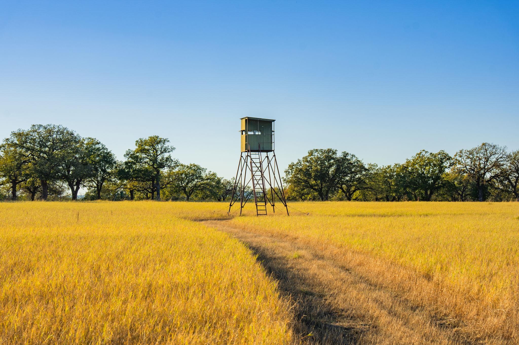 770 Sand Ln, Gordon, TX 76472