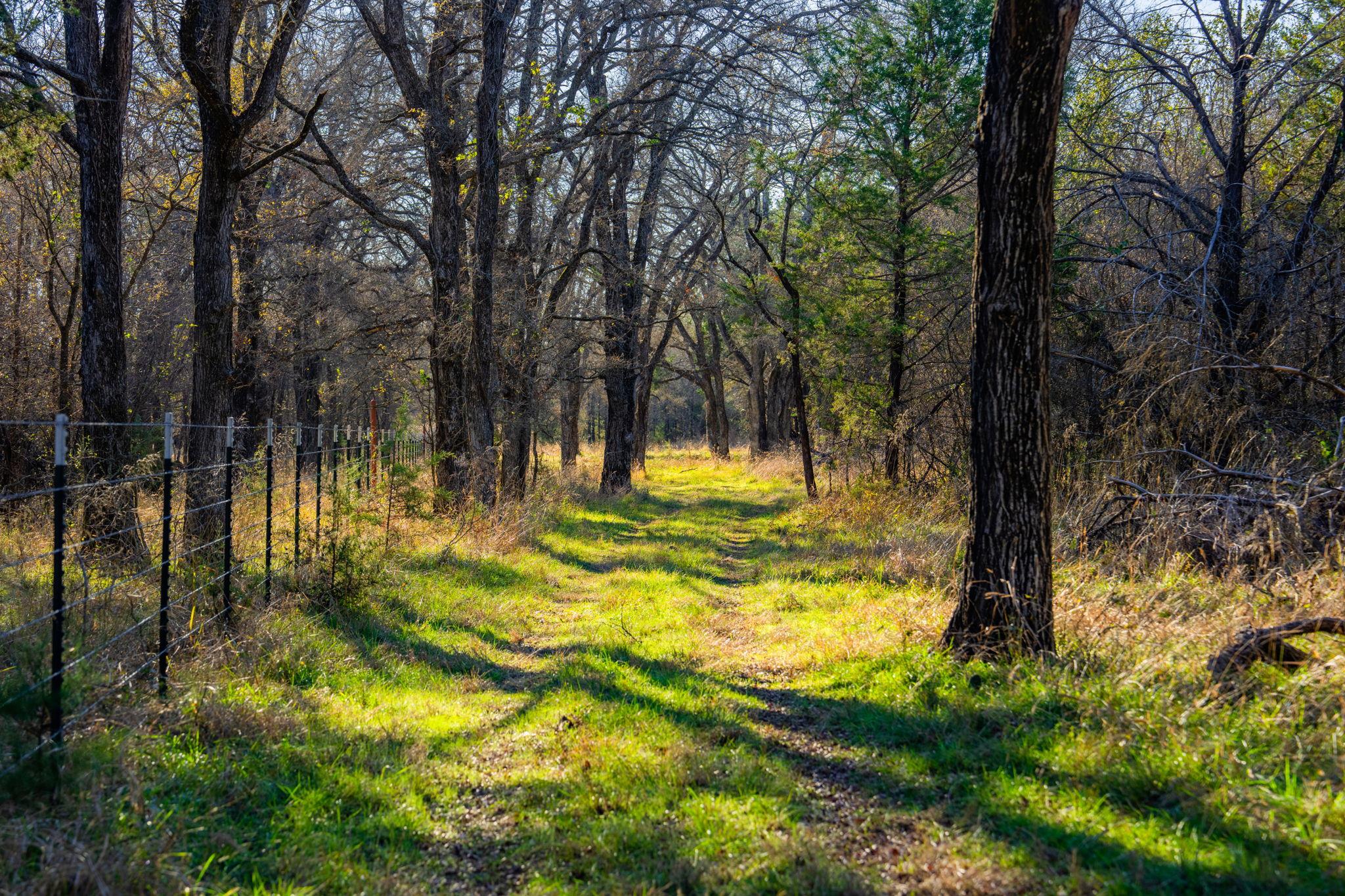 770 Sand Ln, Gordon, TX 76472