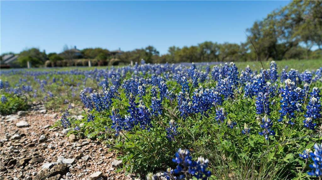 27213 Waterfall Hill Pkwy, Spicewood, TX 78669