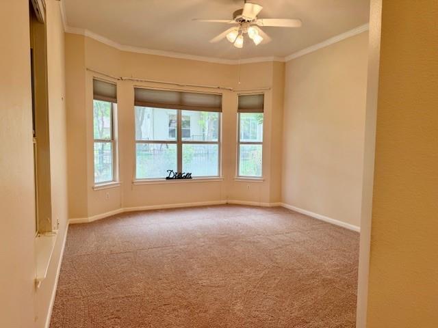 120 Mountain Laurel Way, Georgetown, TX 78633