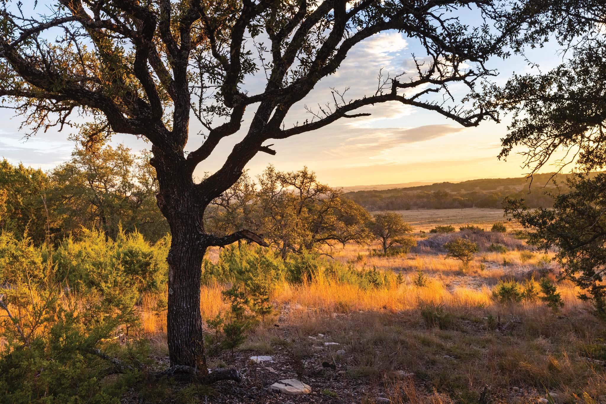 6729 US HWY 281 Highway, Lampasas, TX 76550