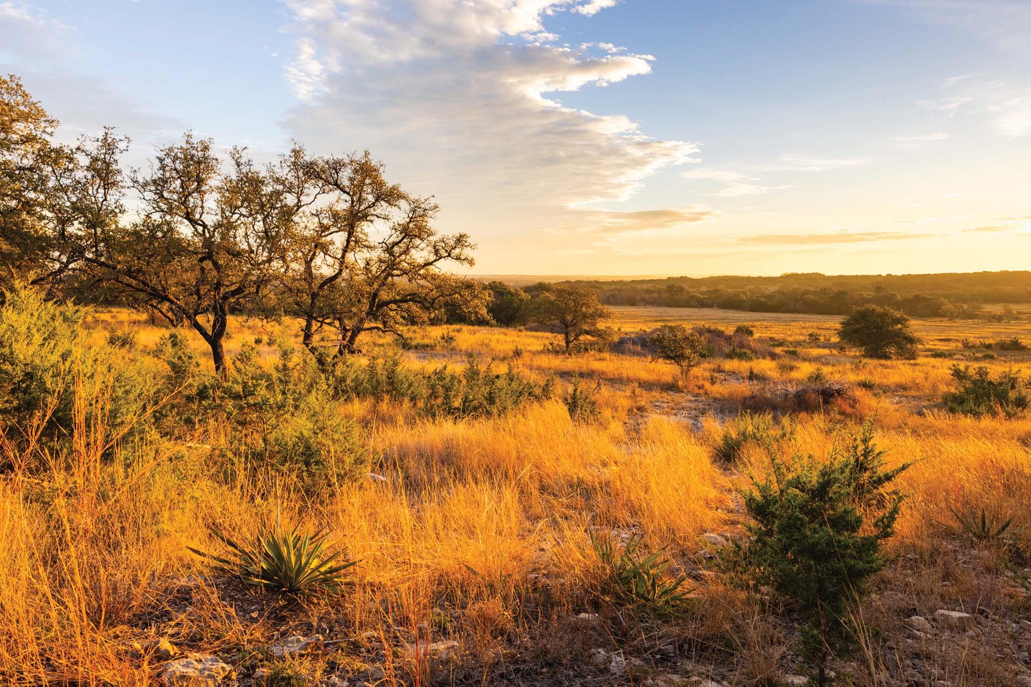 6729 US HWY 281 Highway, Lampasas, TX 76550