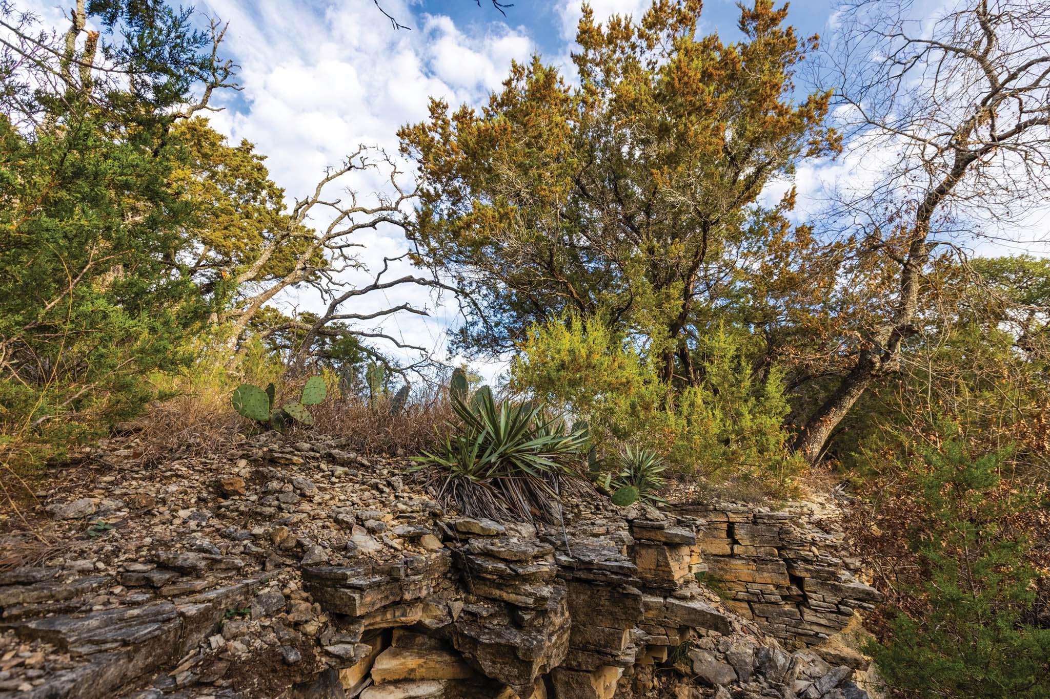 6729 US HWY 281 Highway, Lampasas, TX 76550