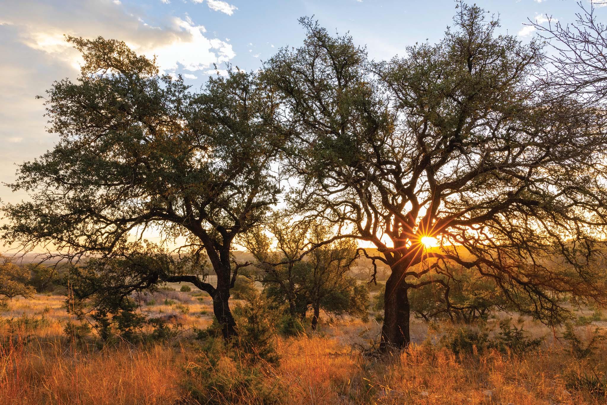 6729 US HWY 281 Highway, Lampasas, TX 76550