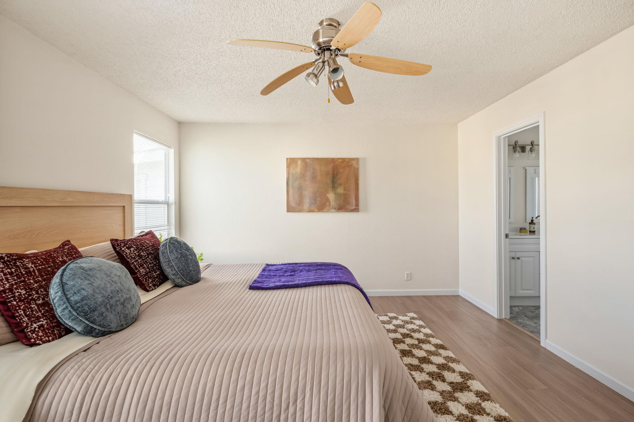 161 Segovia Way, Pflugerville, TX 78660