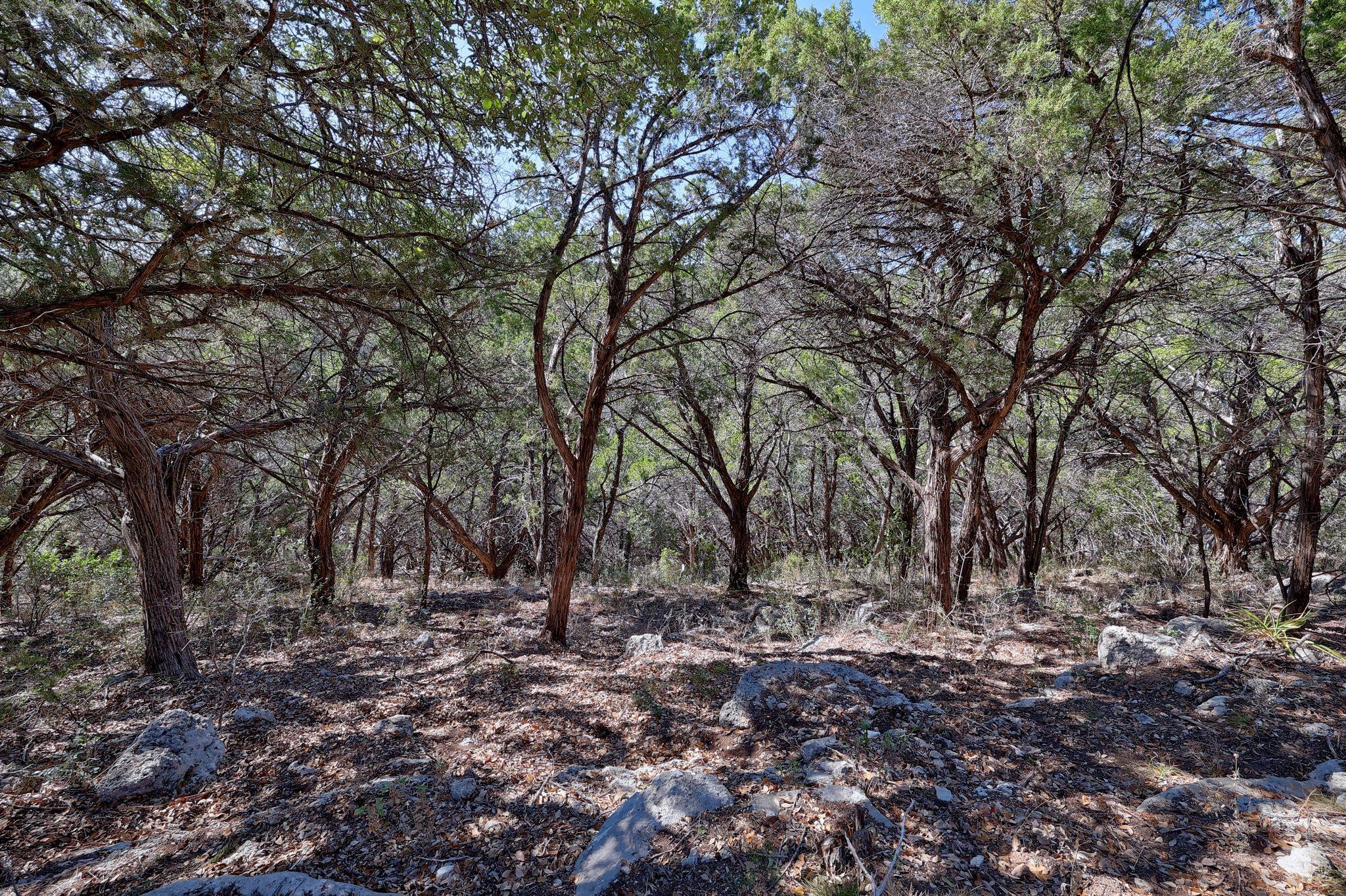 6909 Sunset Ridge, Jonestown, TX 78645