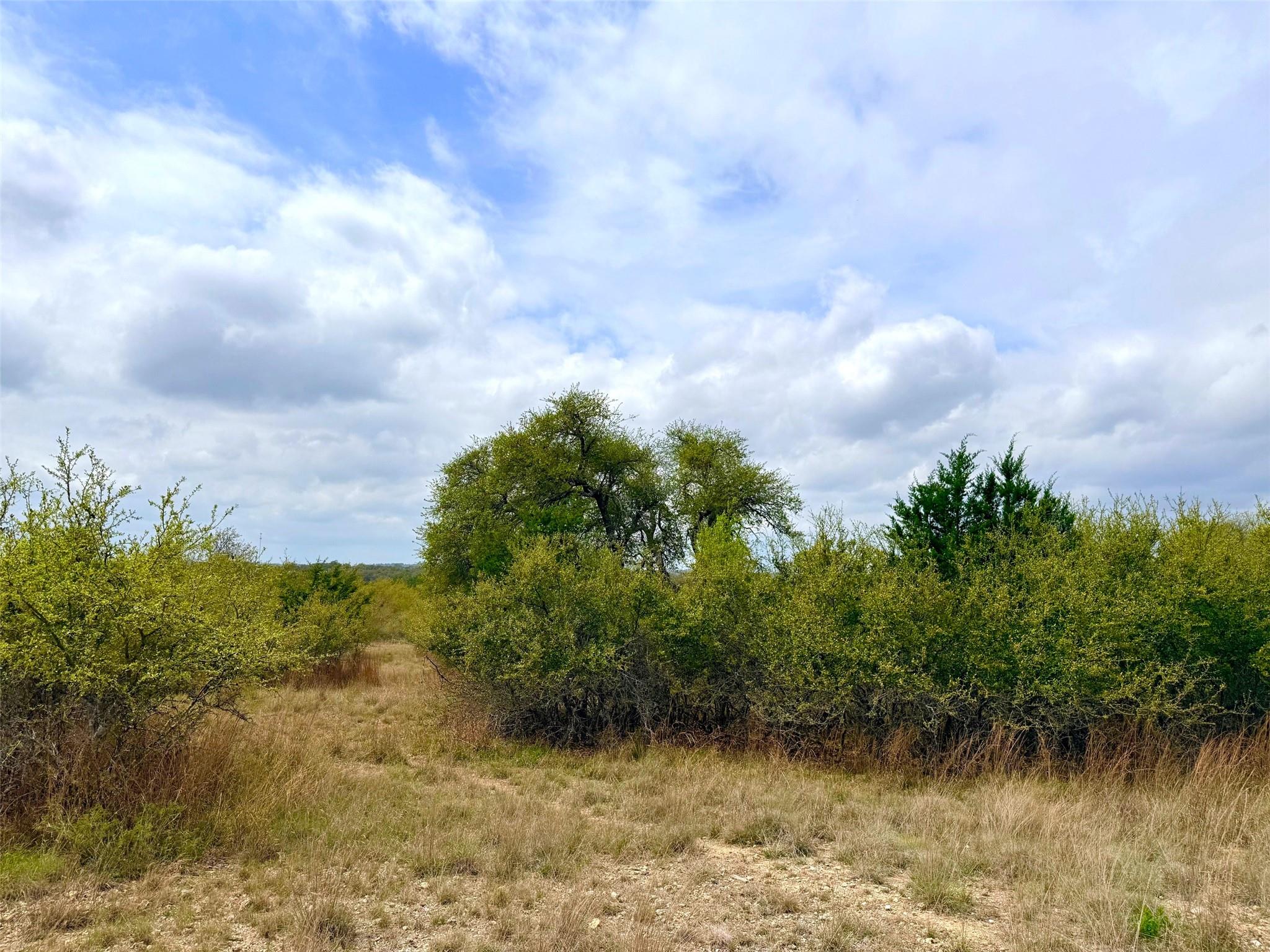 103 Ira Long, Blanco, TX 78606