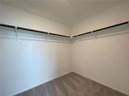 110 Mountain Maple St, Hutto, TX 78634