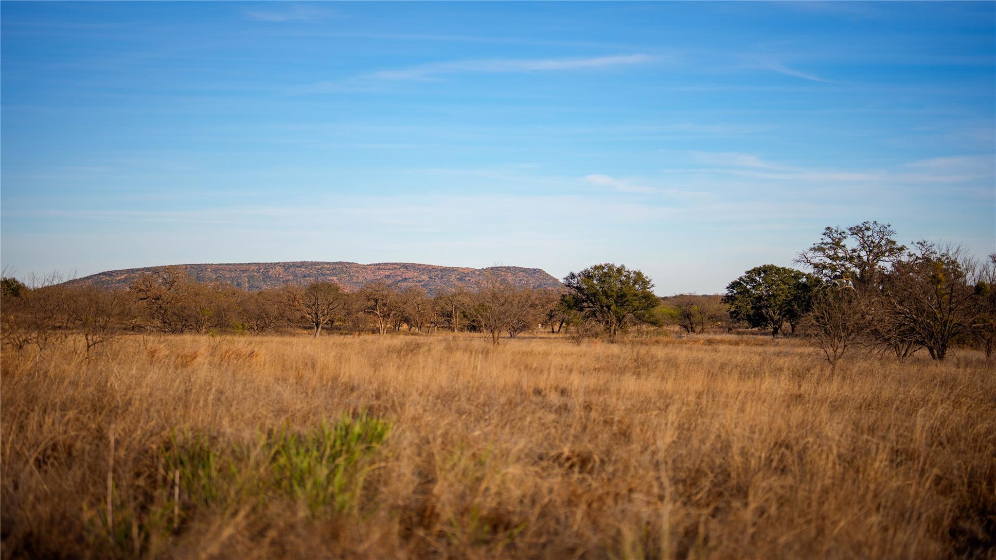 126 Buffalo Rd, Valley Spring, TX 76885