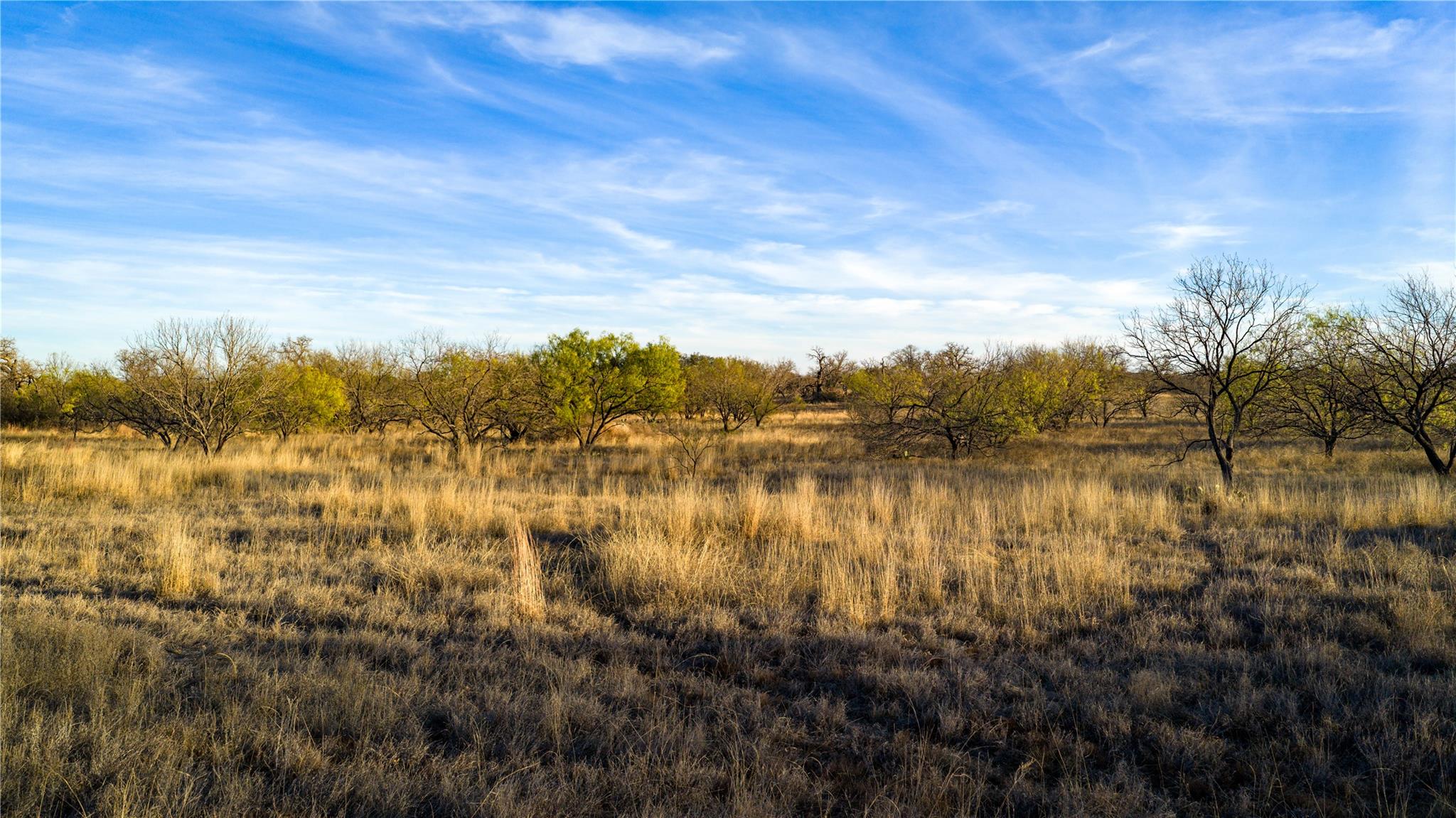 126 Buffalo Rd, Valley Spring, TX 76885