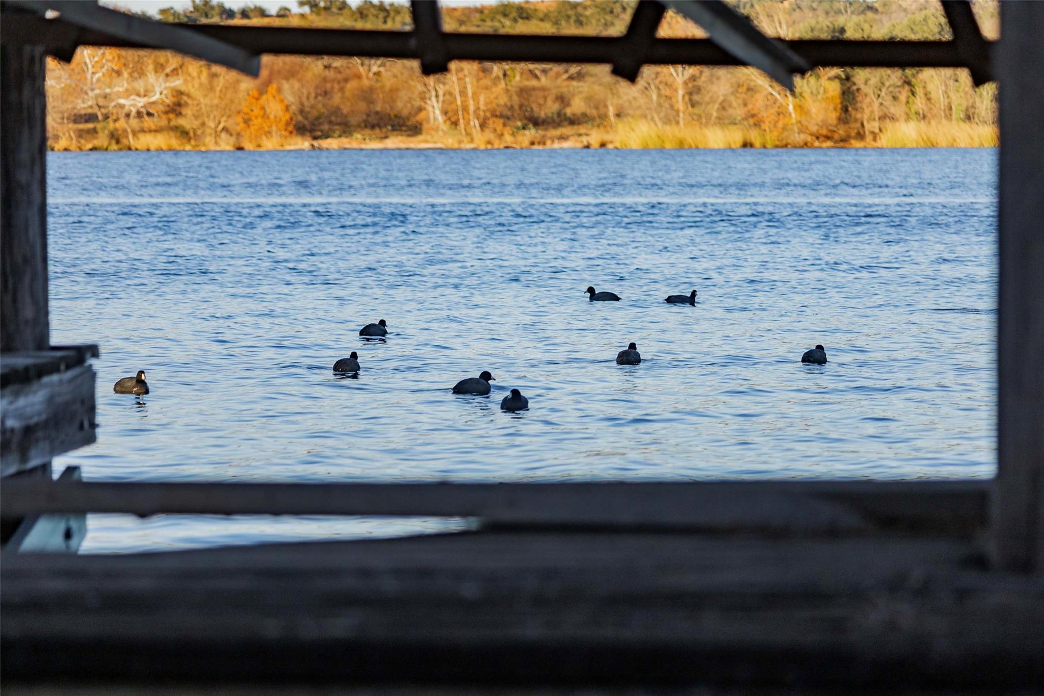 185 Roadrunner Ln, Burnet, TX 78611