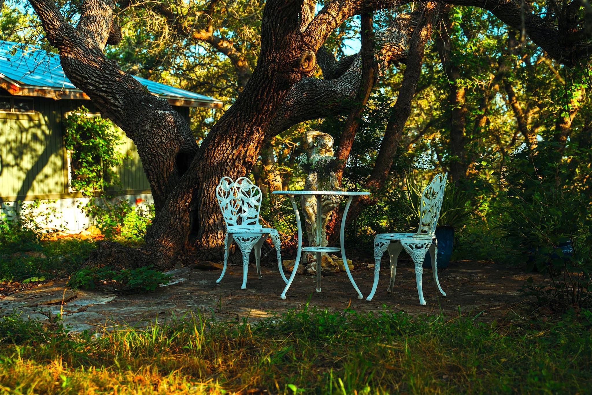 435 Spangenberg Rd, Blanco, TX 78623