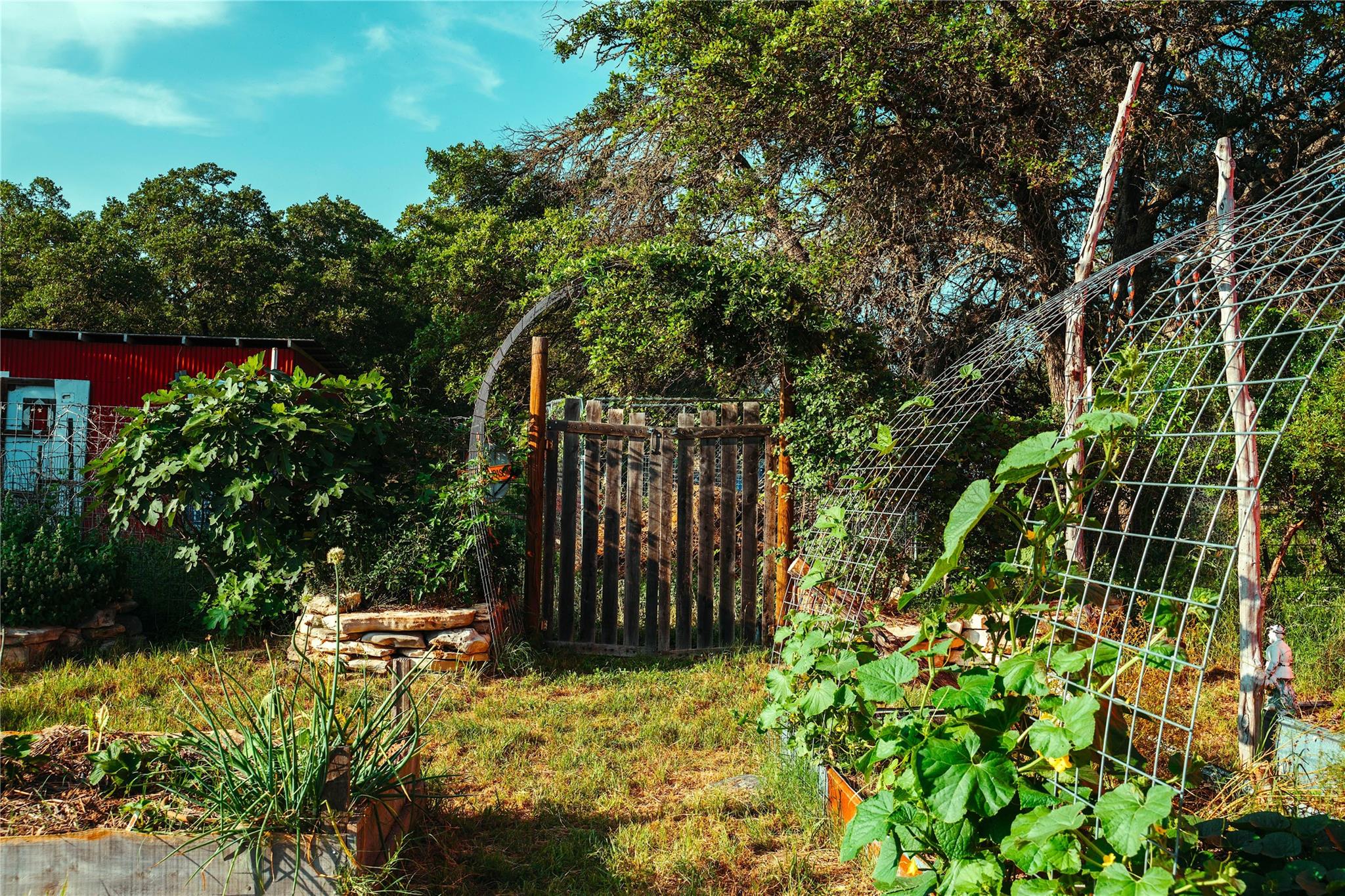 435 Spangenberg Rd, Blanco, TX 78623