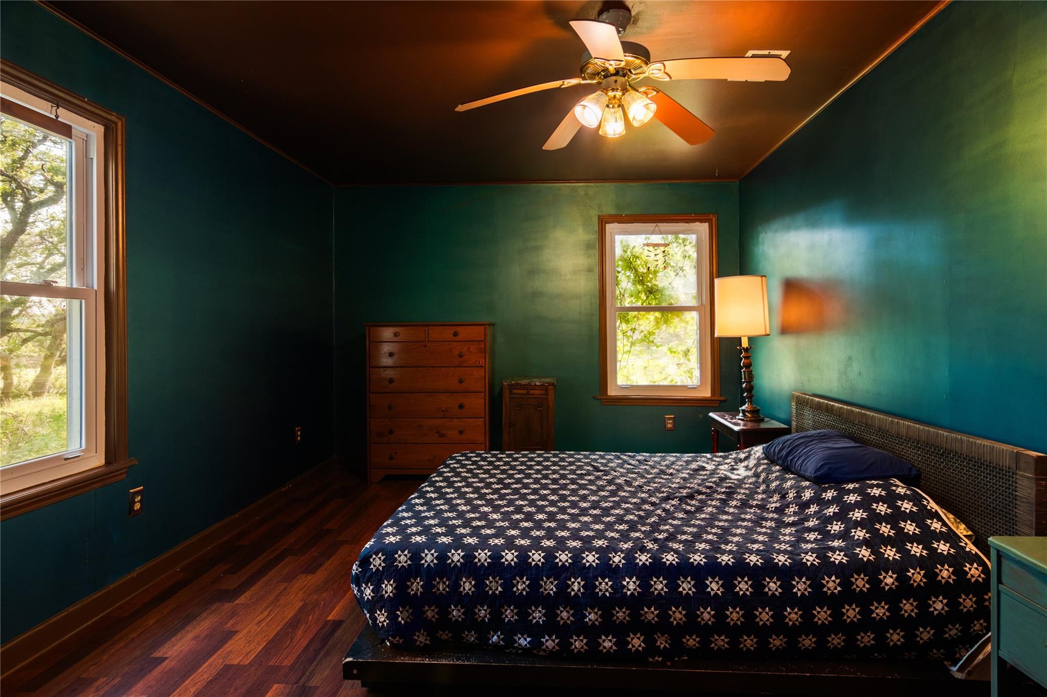 435 Spangenberg Rd, Blanco, TX 78623