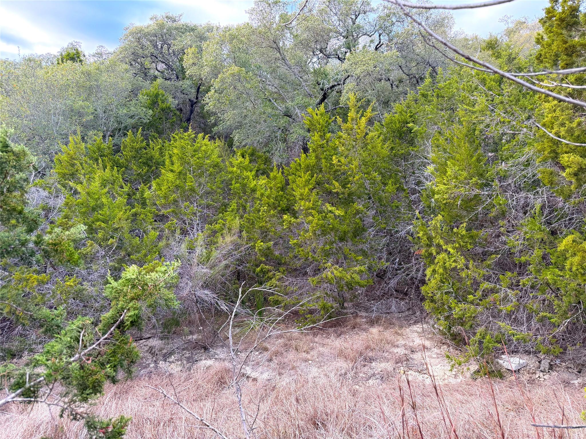 1178 Primrose Path, Canyon Lake, TX 78133