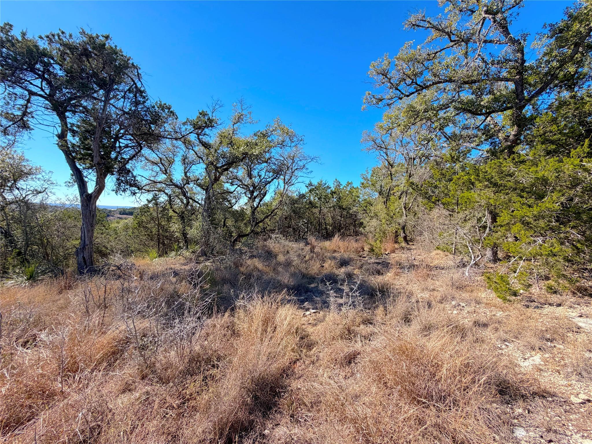 1178 Primrose Path, Canyon Lake, TX 78133