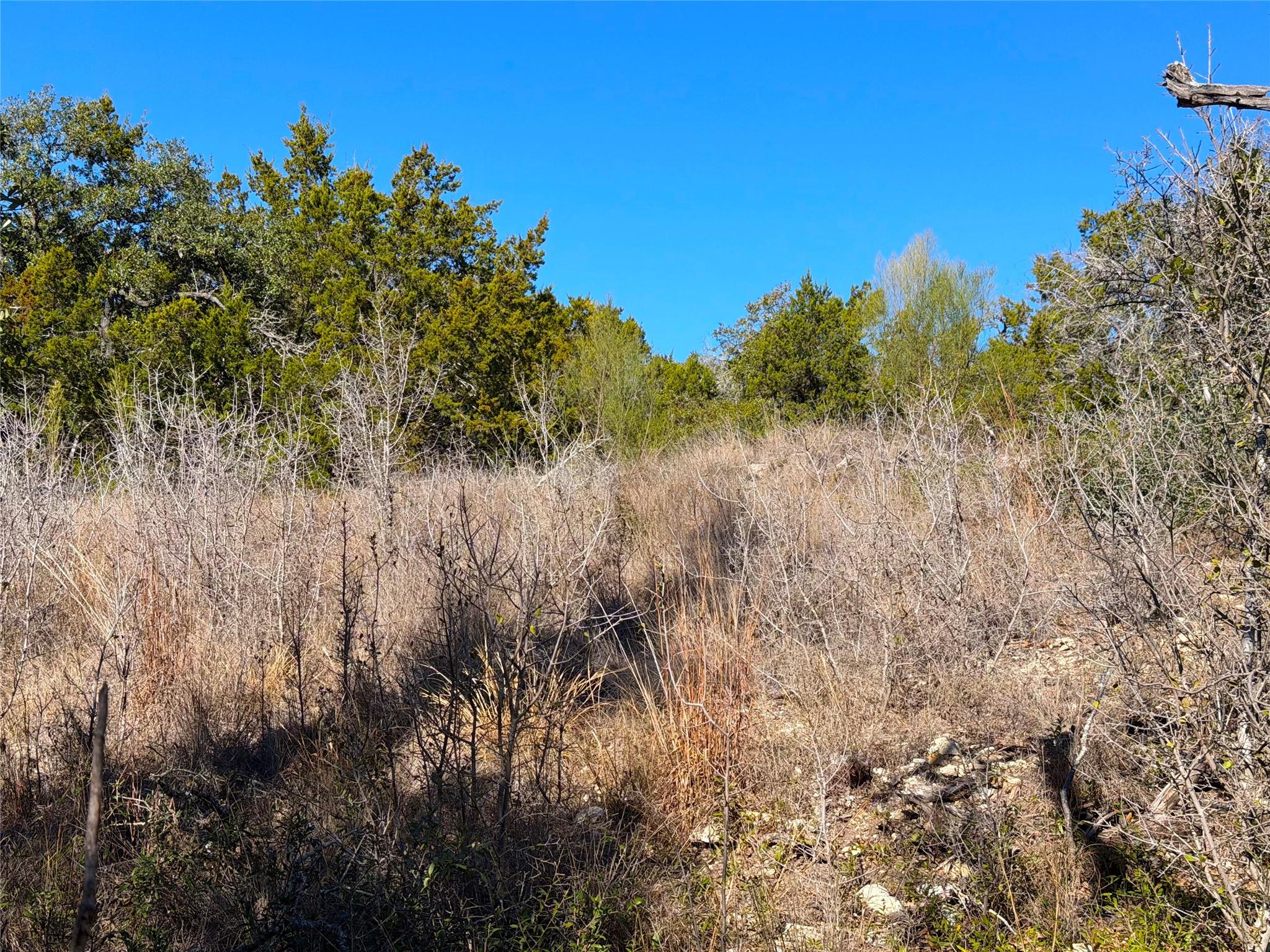 1178 Primrose Path, Canyon Lake, TX 78133