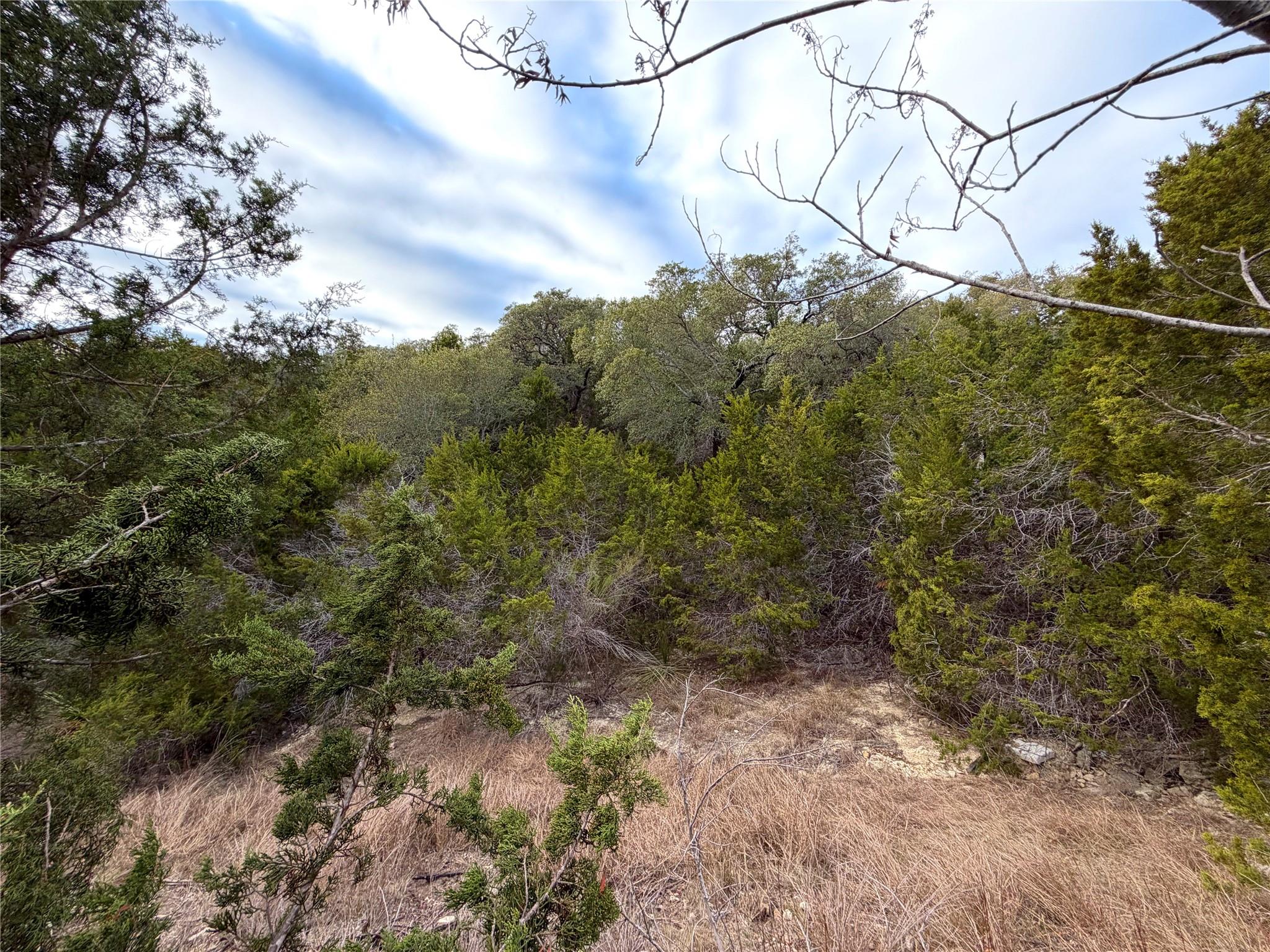 1178 Primrose Path, Canyon Lake, TX 78133