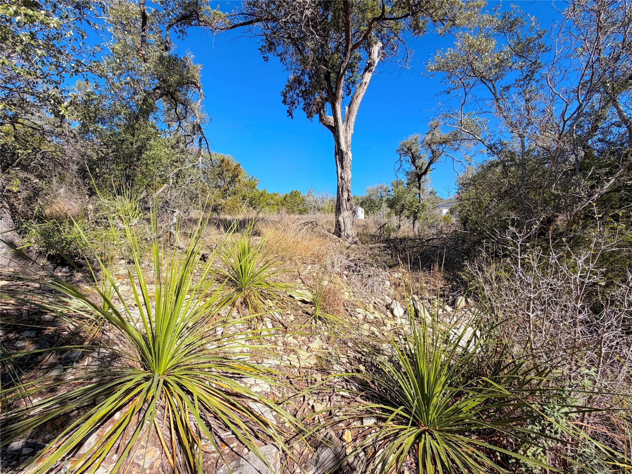 1178 Primrose Path, Canyon Lake, TX 78133