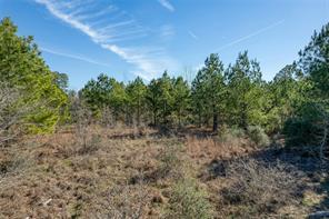 TBD Cardinal Loop Loop, Paige, TX 78659