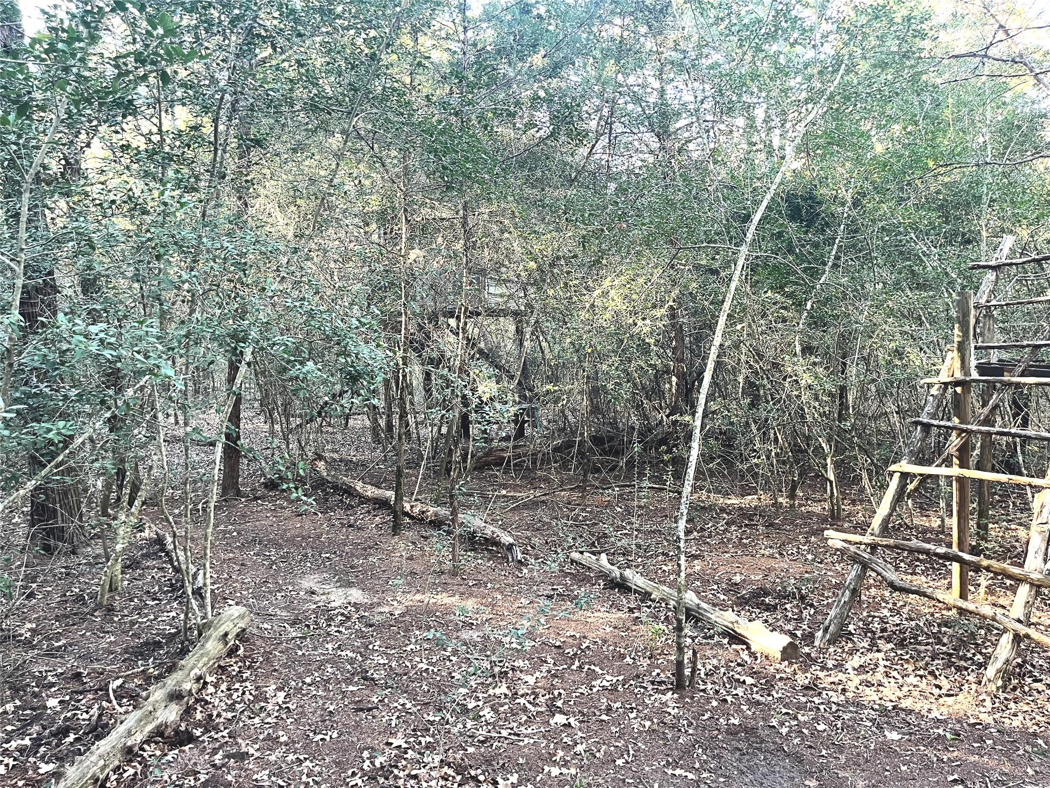 194 Split Oak Rd, Smithville, TX 78957