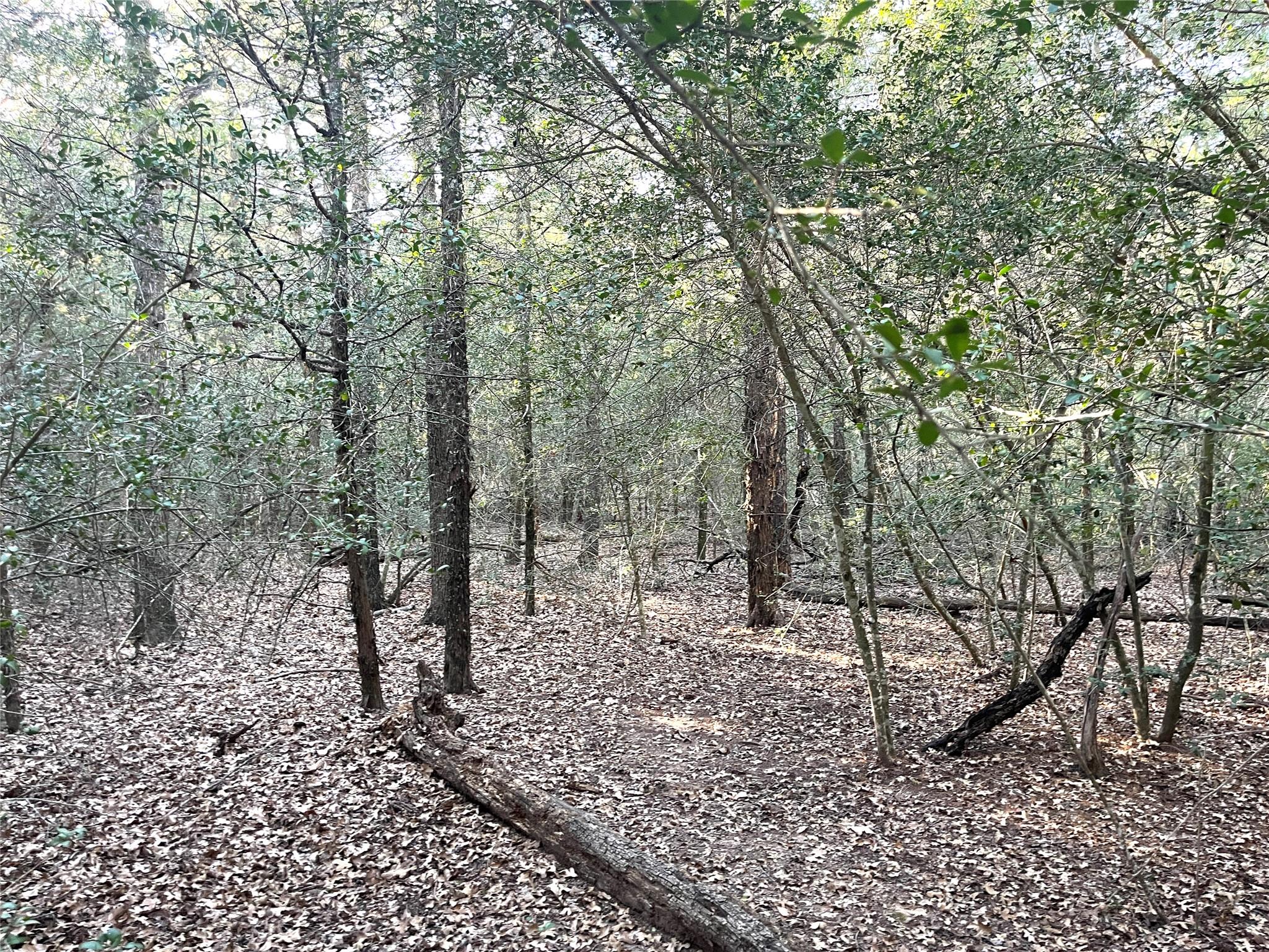 194 Split Oak Rd, Smithville, TX 78957