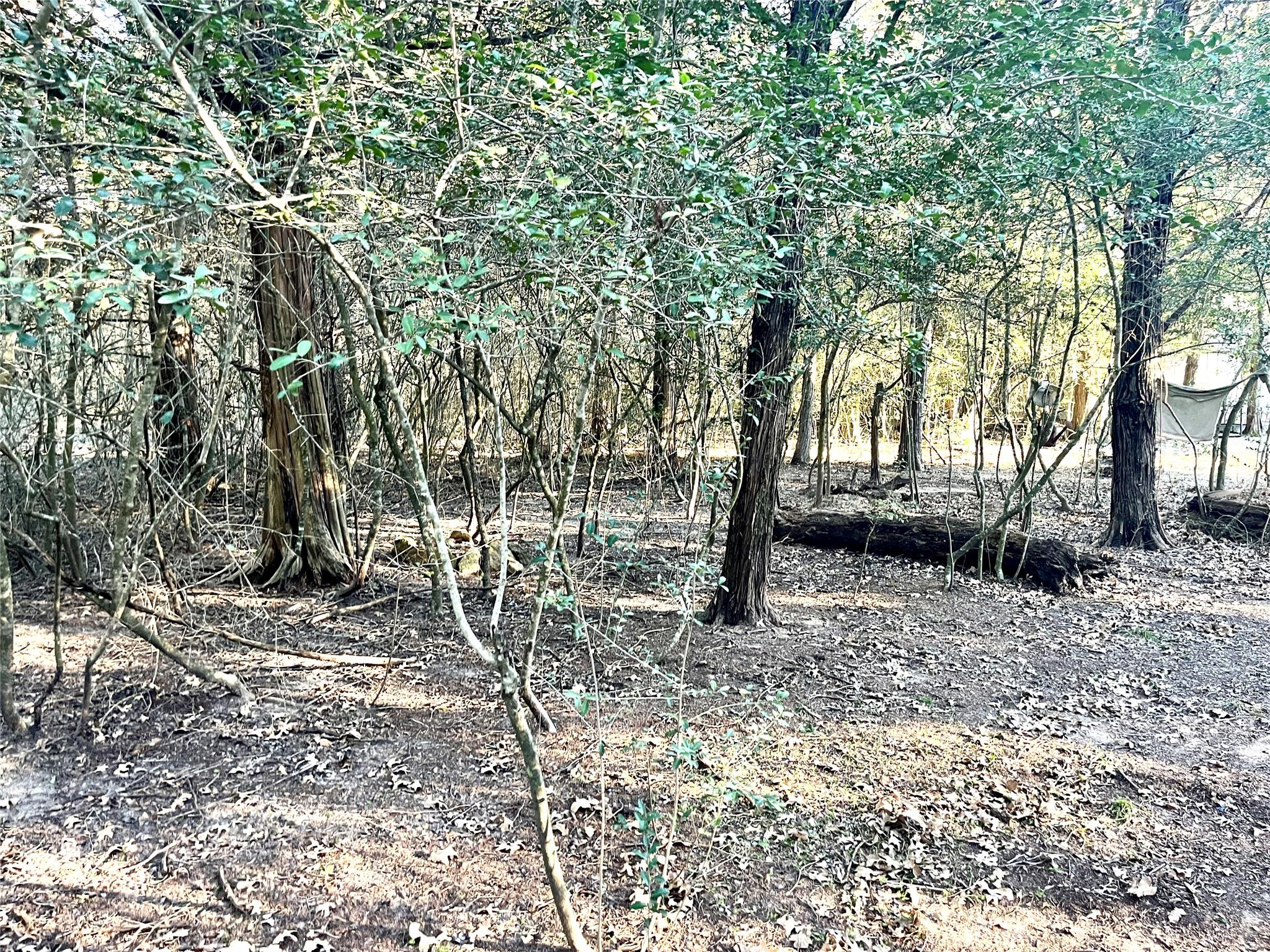 194 Split Oak Rd, Smithville, TX 78957